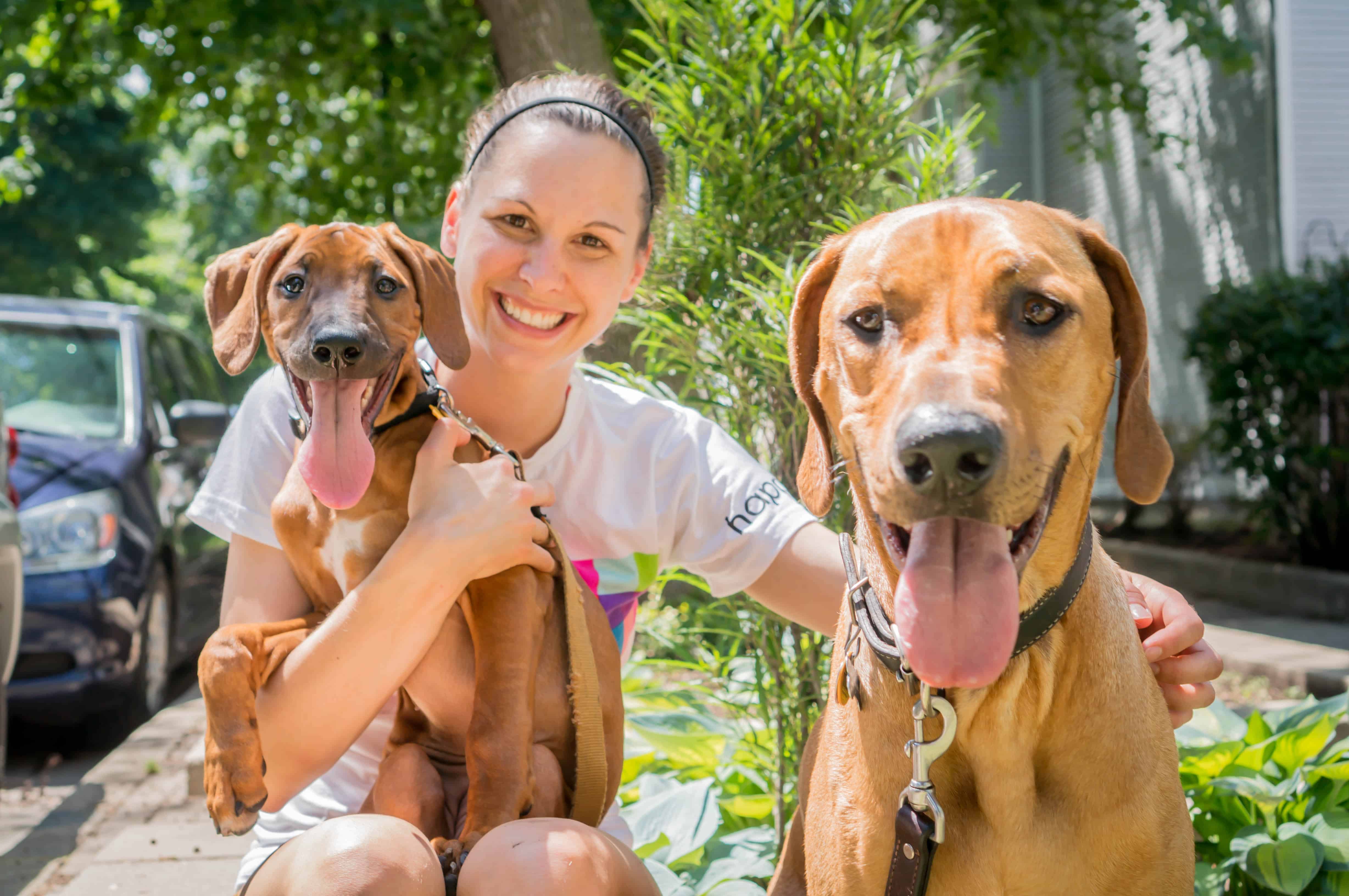 Rhodesian Ridgeback, puppy, chicago, adventure, blog, dogs, marking our territory