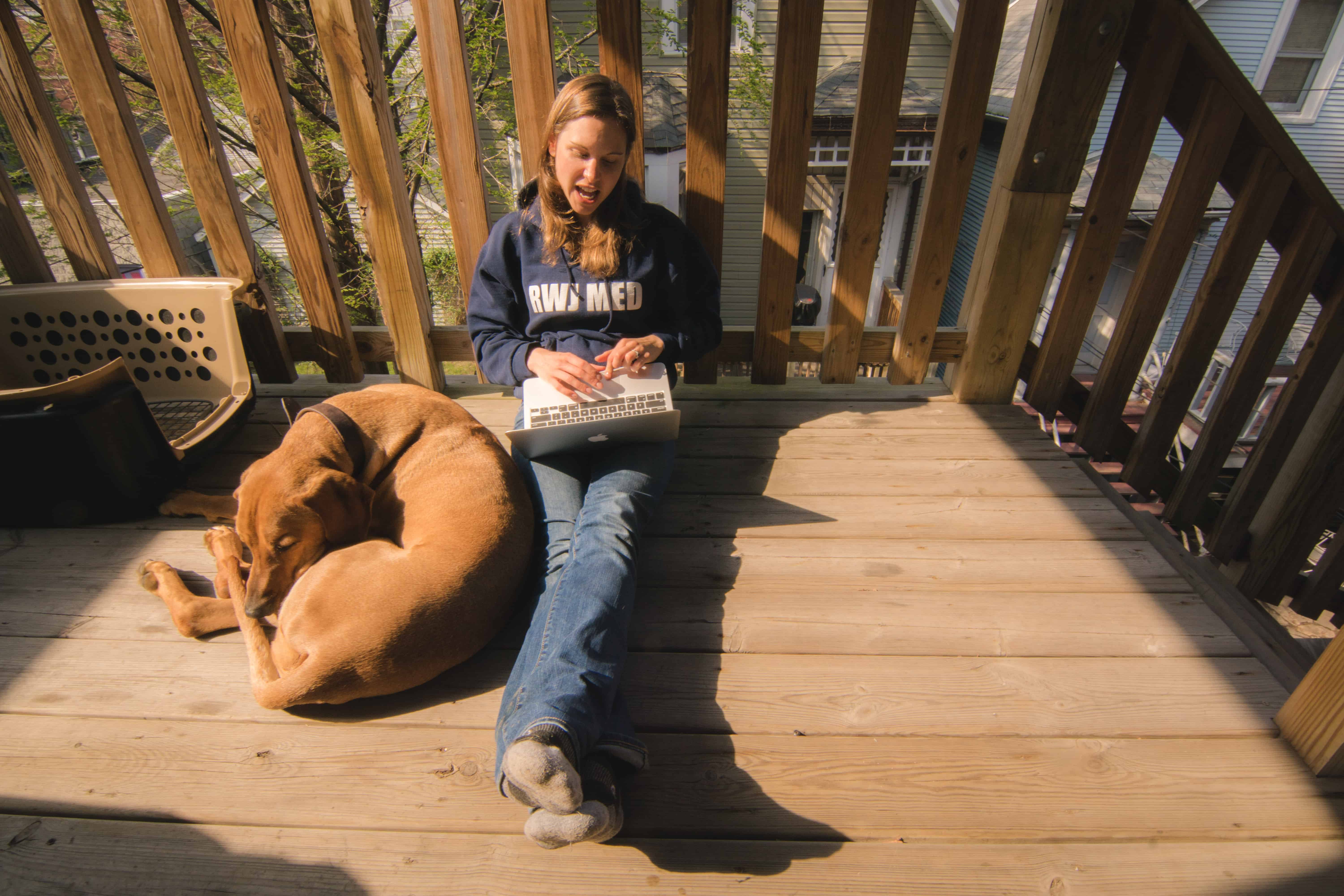 Rhodesian RIdgeback, sun, chicago, puppy, 