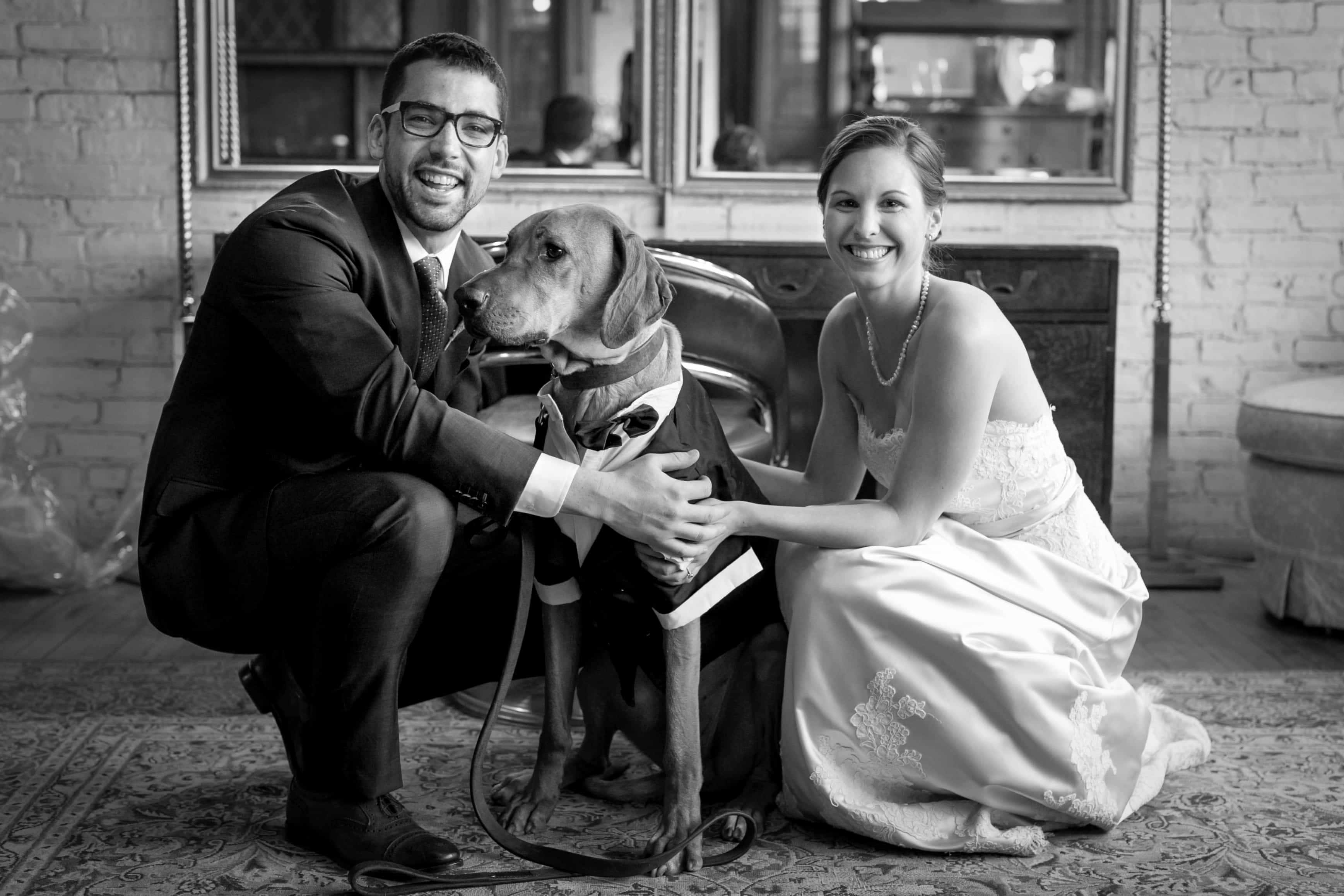 Rhodesian Ridgeback, wedding, dog, ring bearer, chicago, 