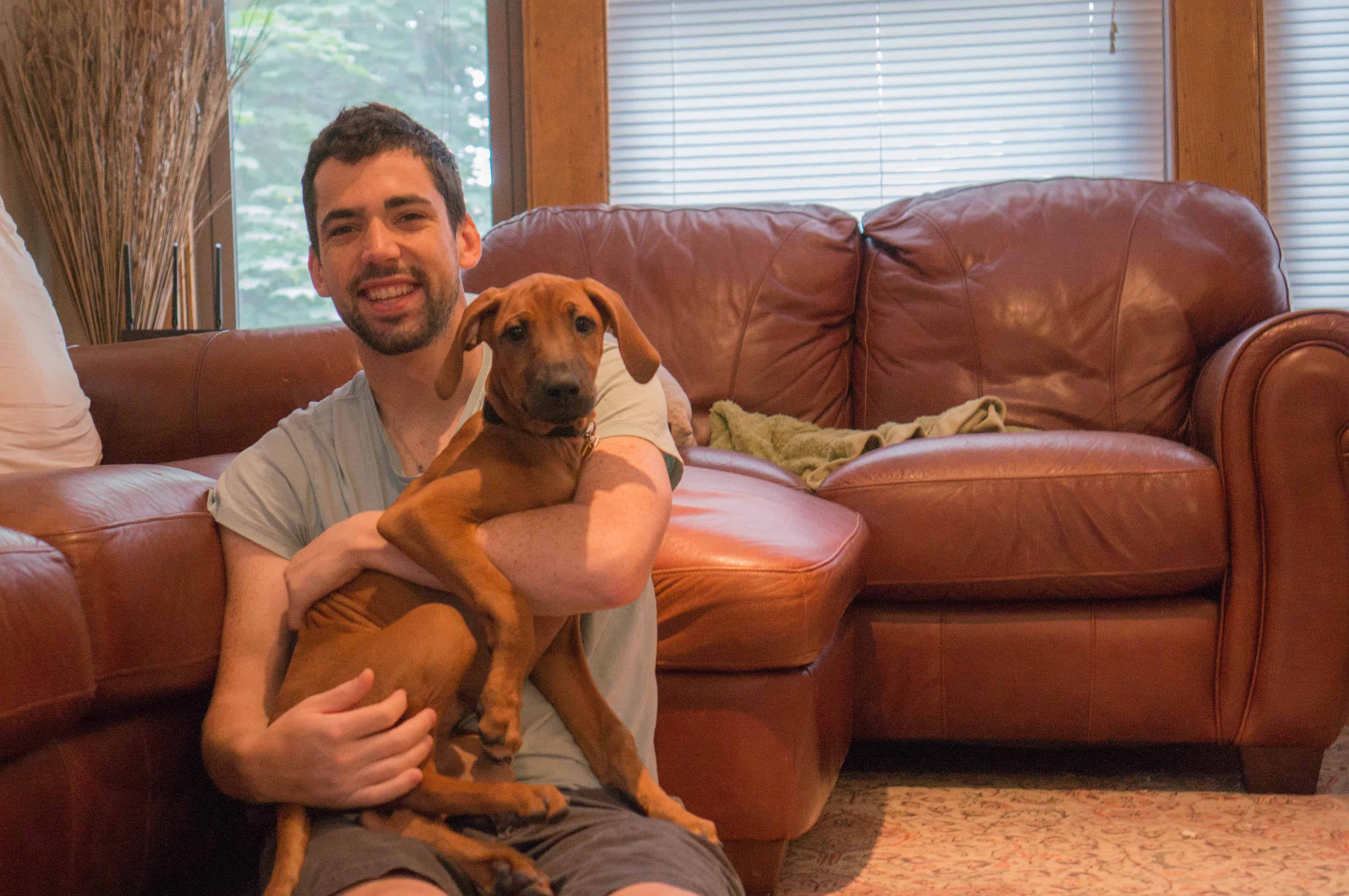 Rhodesian Ridgeback, puppy, marking our territory, jealous, adventure