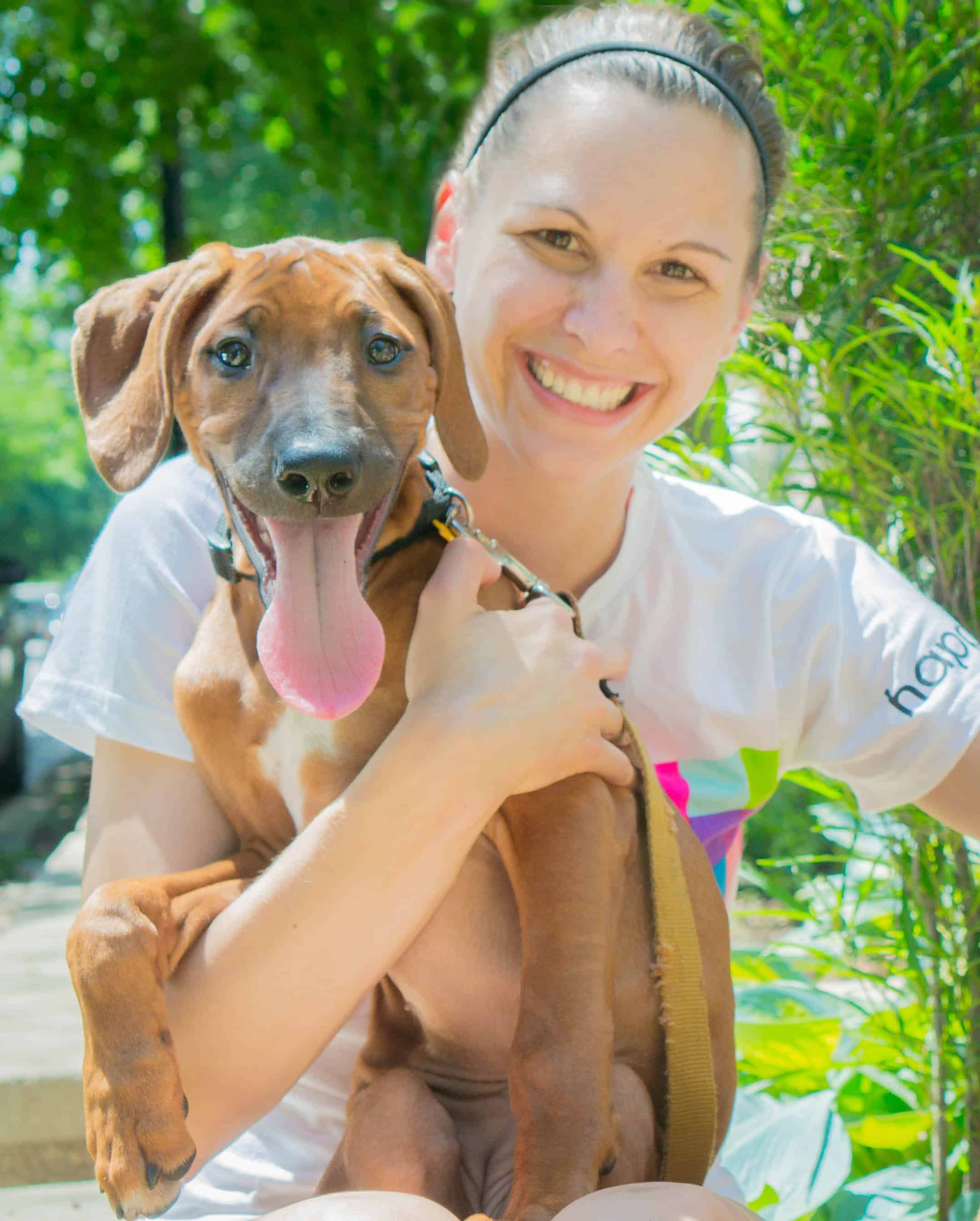 Rhodesian Ridgeback, puppy, marking our territory, chicago, adventure