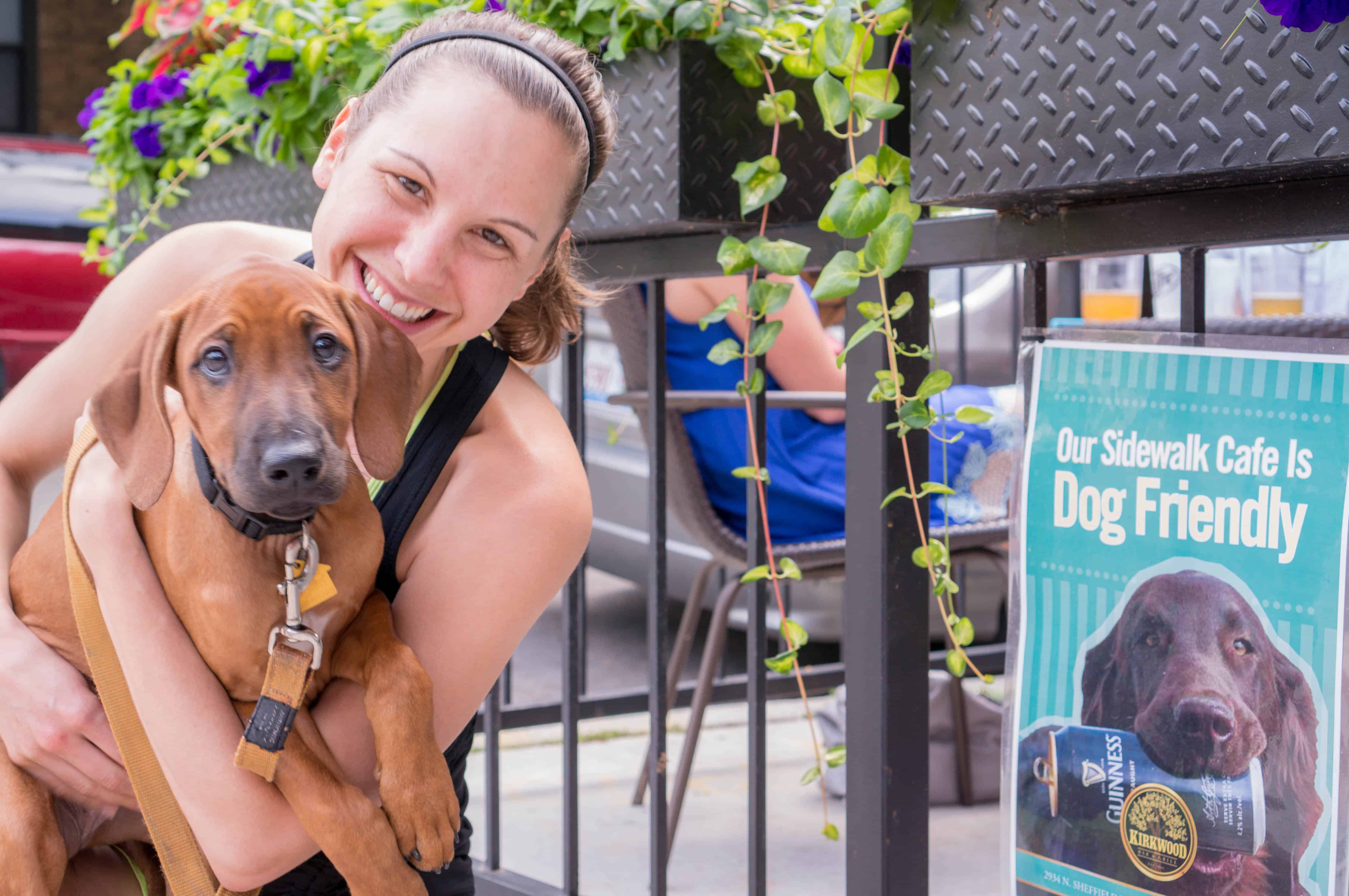 Rhodesian ridgeback, puppy, marking our territory, adventure, chicago