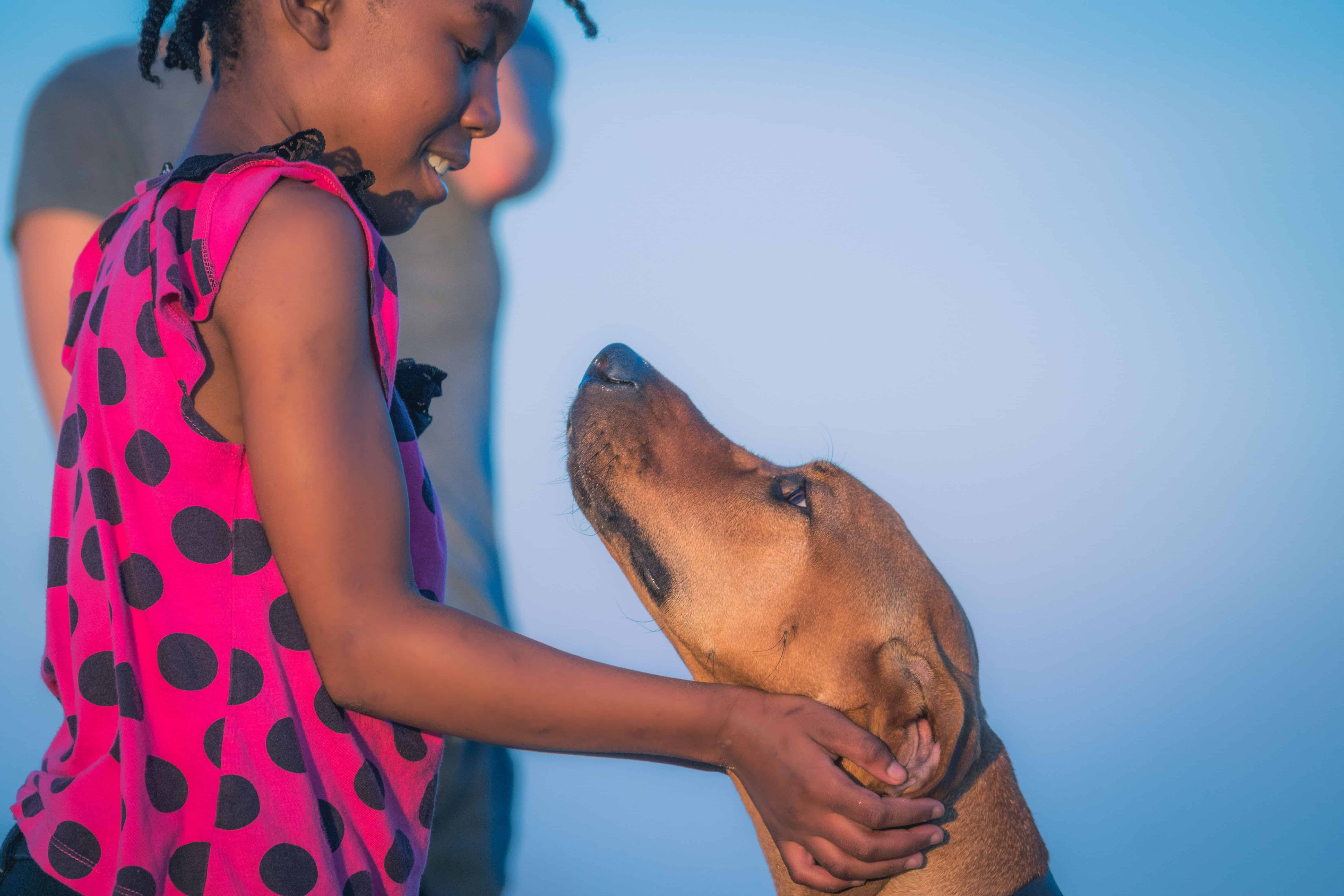 Montrose dog beach, chicago, rhodesian ridgeback, marking our territory, puppy