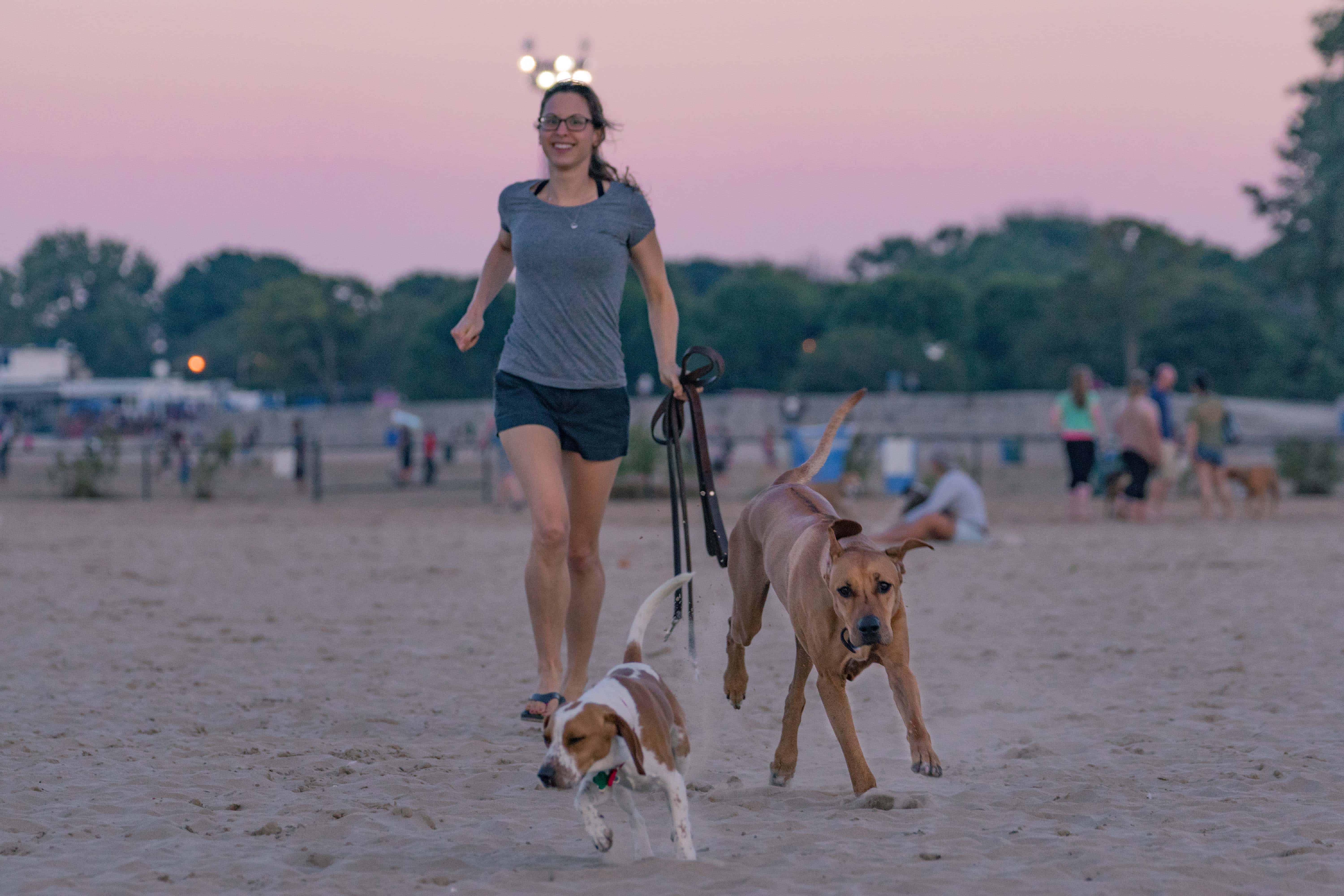 Montrose dog beach, chicago, rhodesian ridgeback, marking our territory, puppy