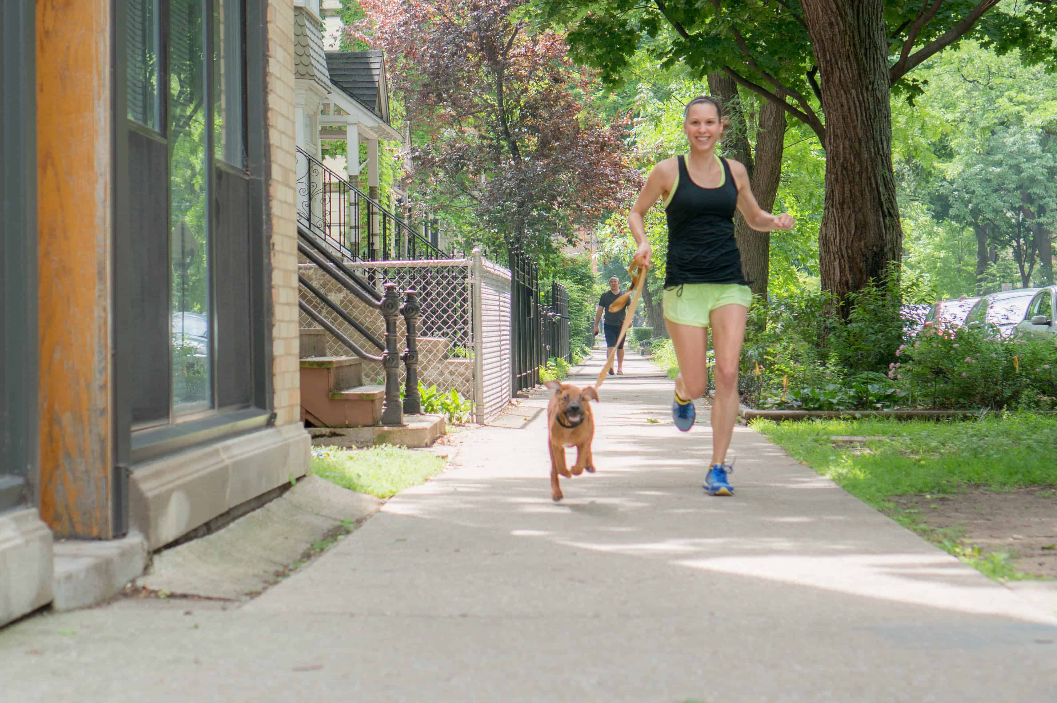 Rhodesian Ridgeback, puppy, blog, marking our territory, penny, chicago