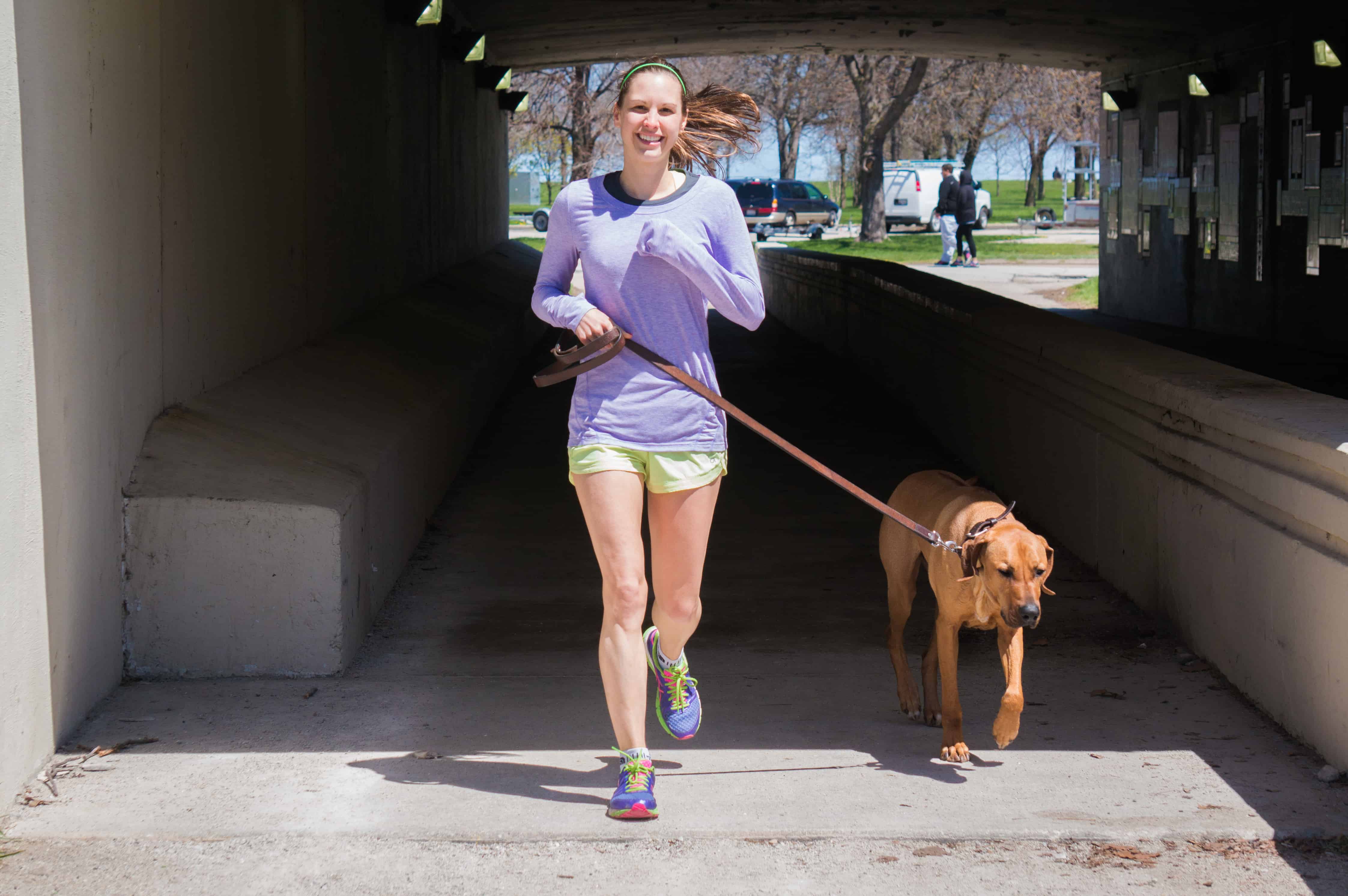 rhodesian ridgeback, run with dog, chicago, adventure