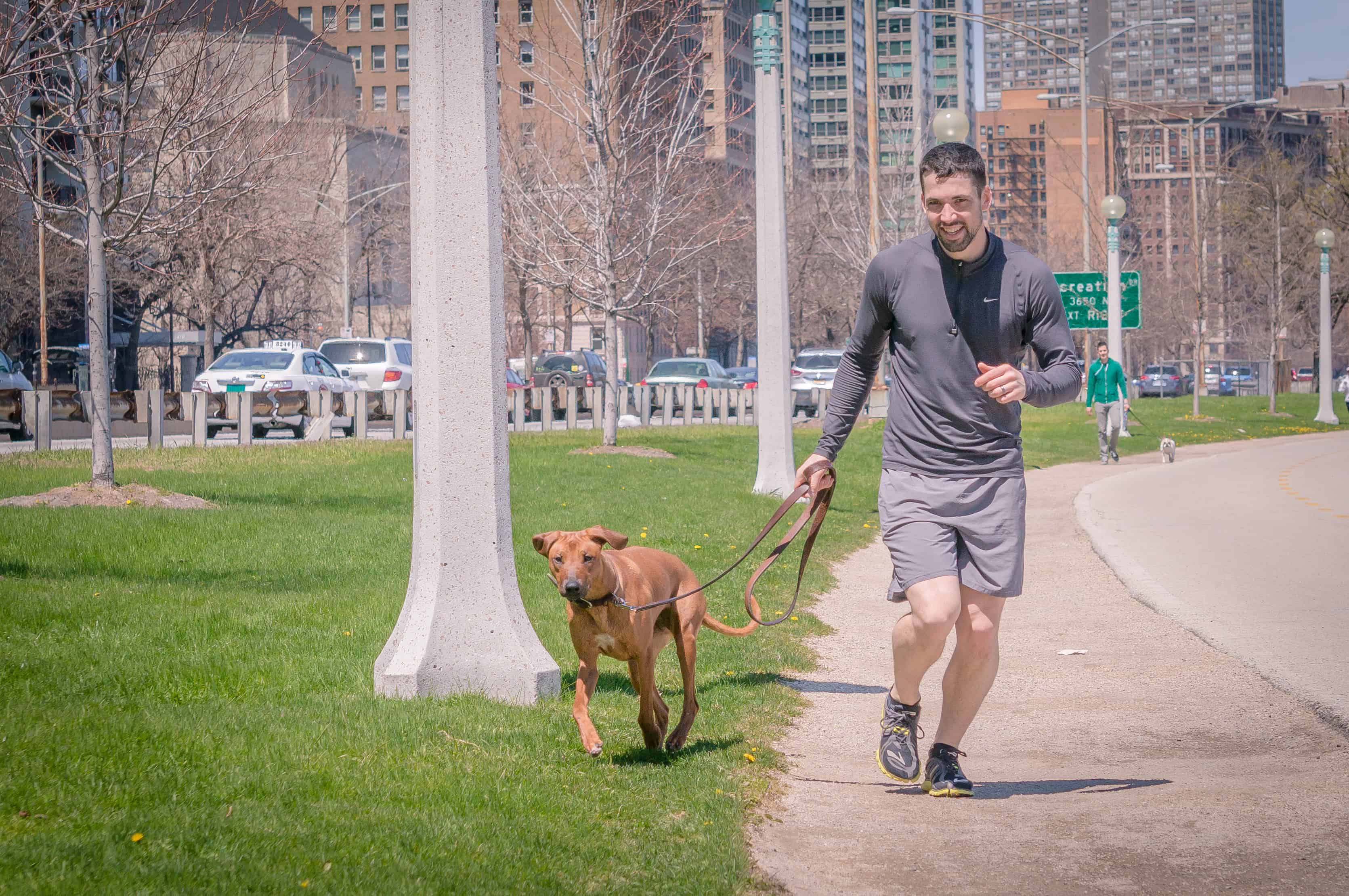 rhodesian ridgeback, run with dog, chicago, adventure