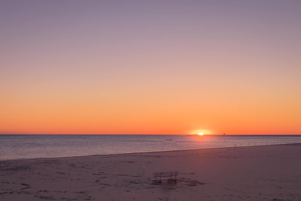 Montrose Dog beach, chicago, sunrise, rhodesian ridgeback