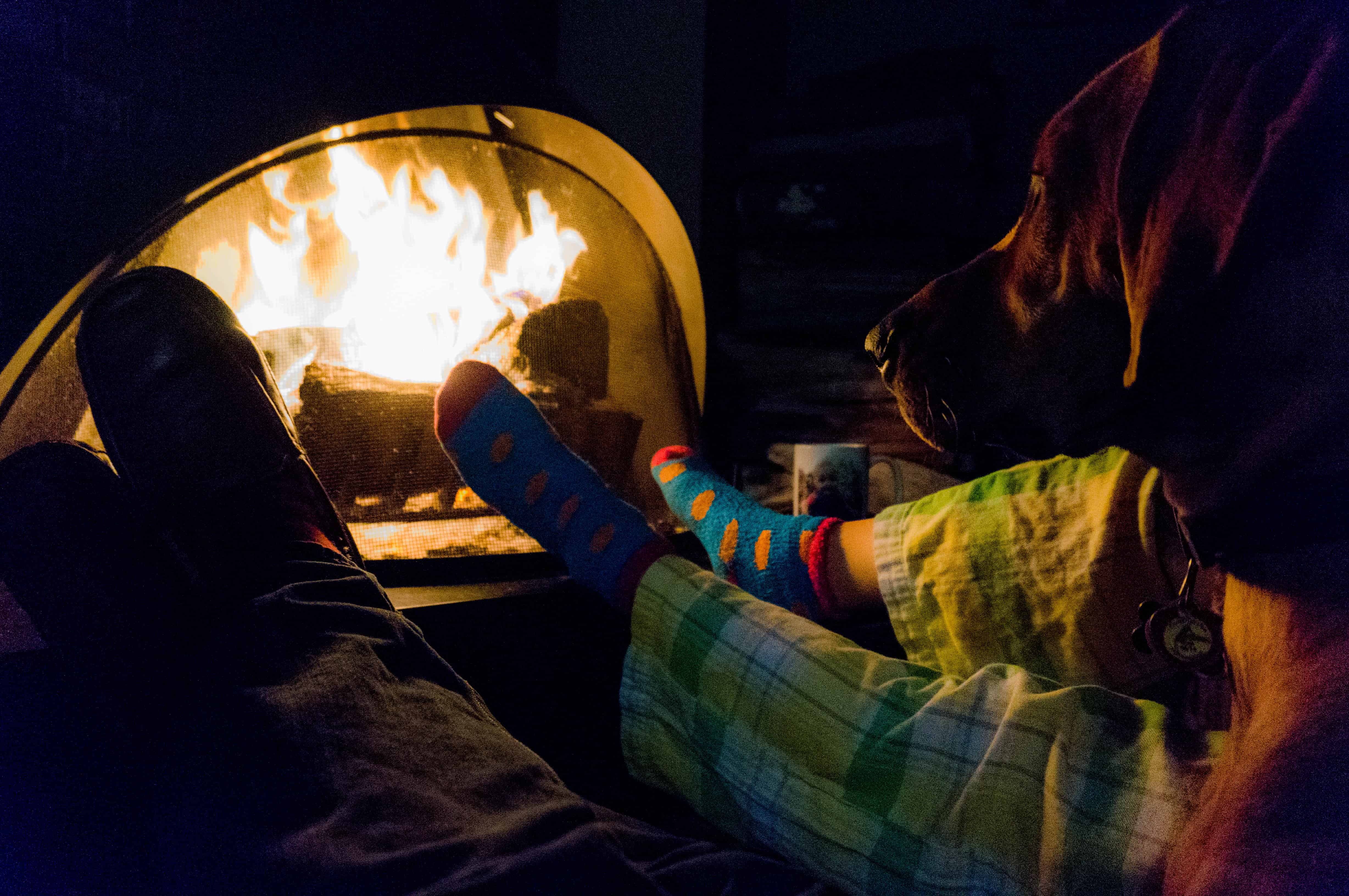 Rhodesian Ridgeback, adventure, chicago, marking our territory