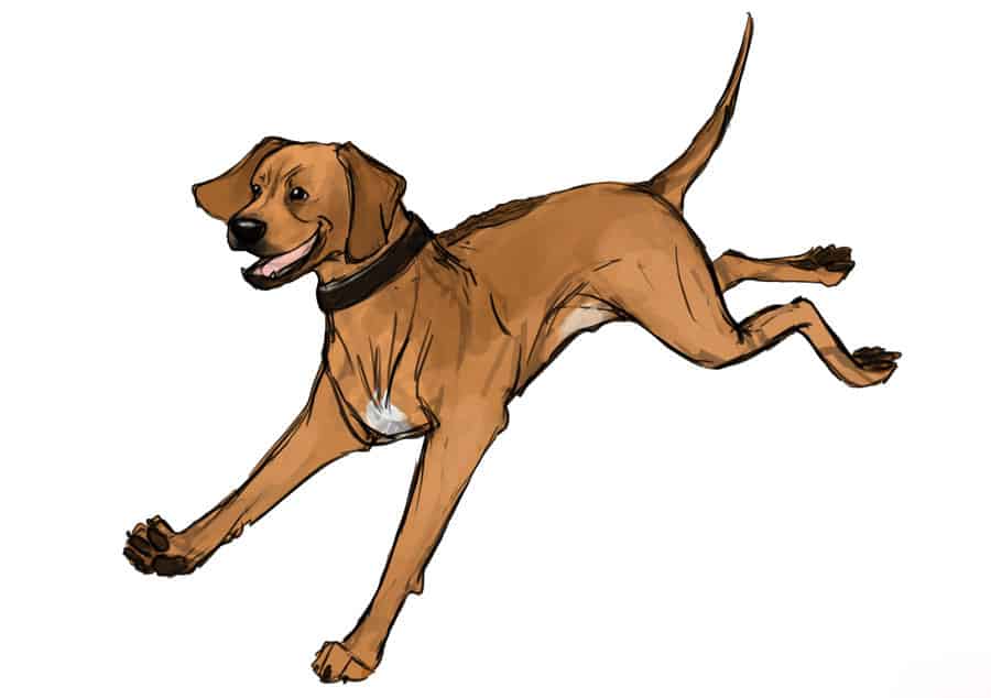 Rhodesian Ridgeback, dog blog, adventure, dogs, chicago, marking our territory, petcentric