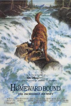 Homeward.bound_dvd_cover