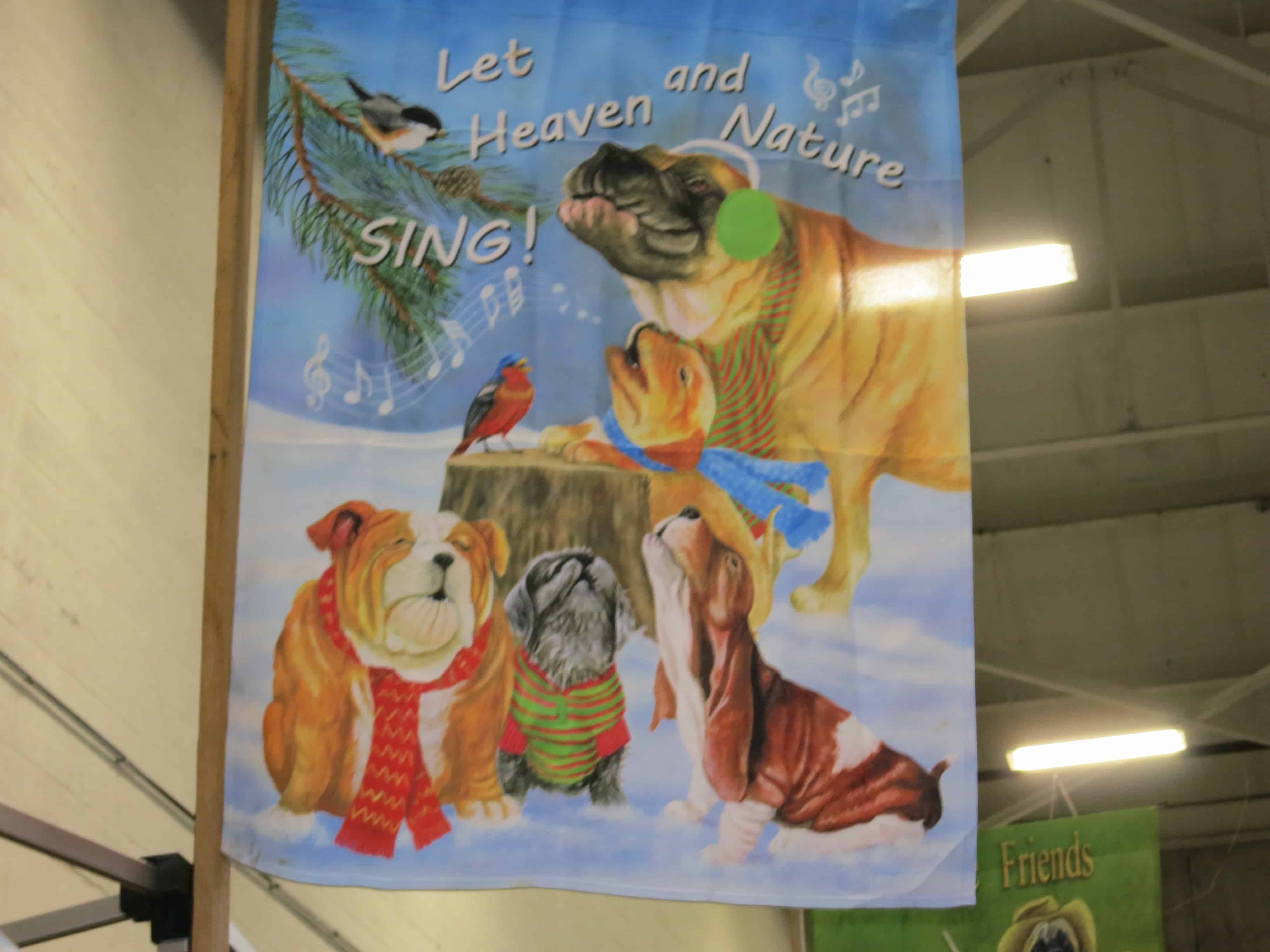 National Dog Show, NBC, Purina, Rhodesian Ridgeback, adventure, dog blog