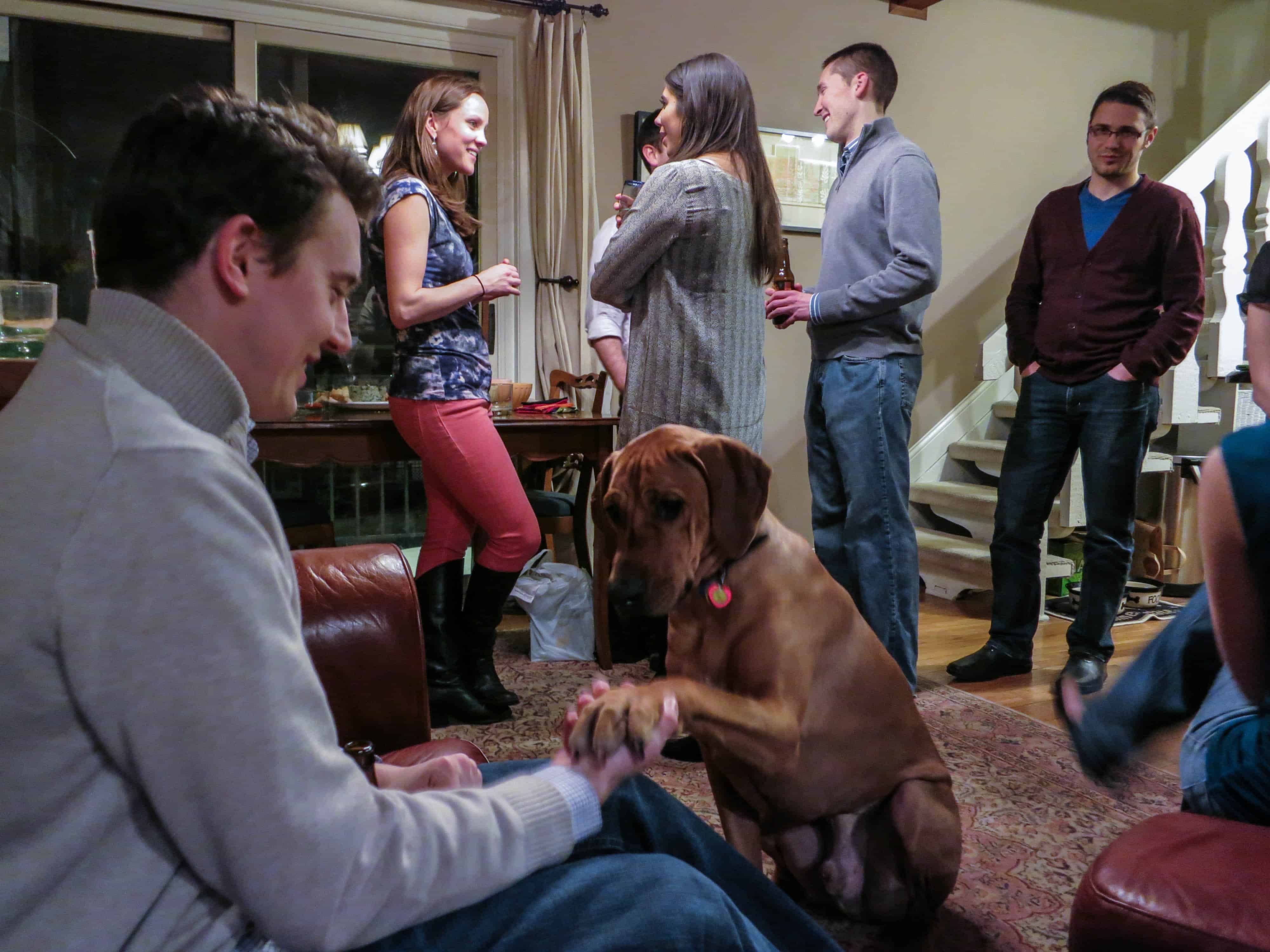 Rhodesian Ridgeback