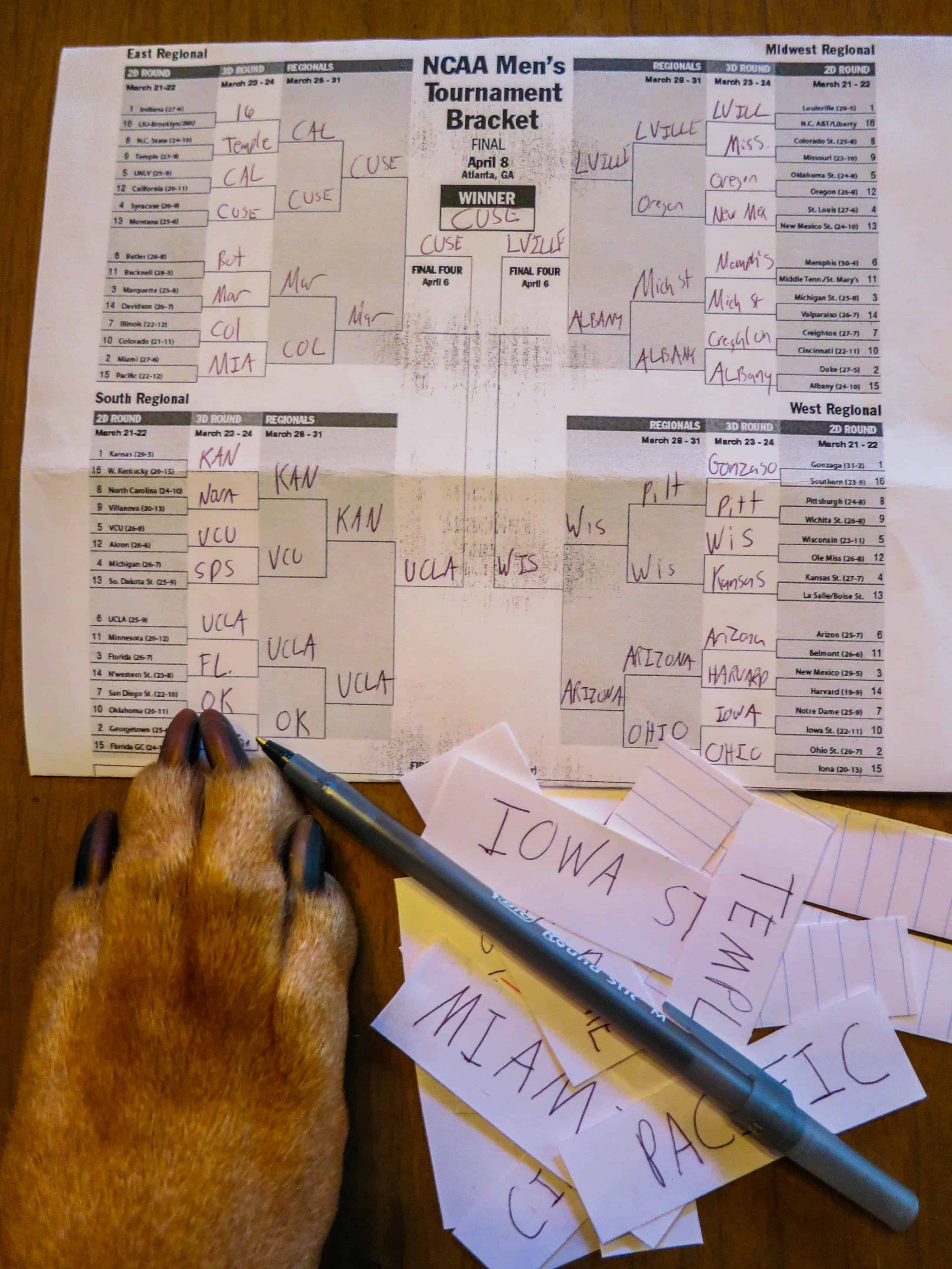 March madness, dogs