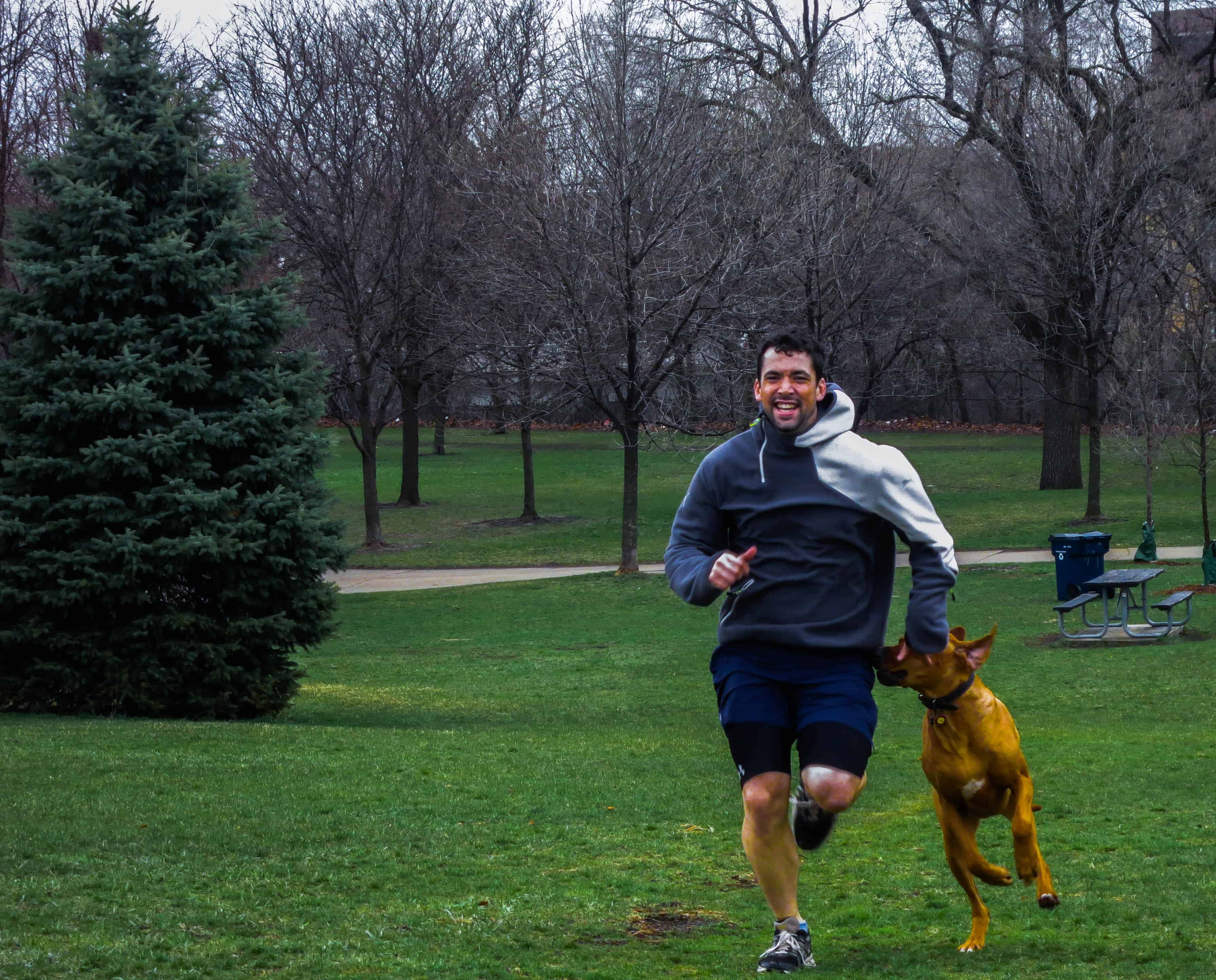 Rhodesian Ridgeback, pet blog, dog adventure