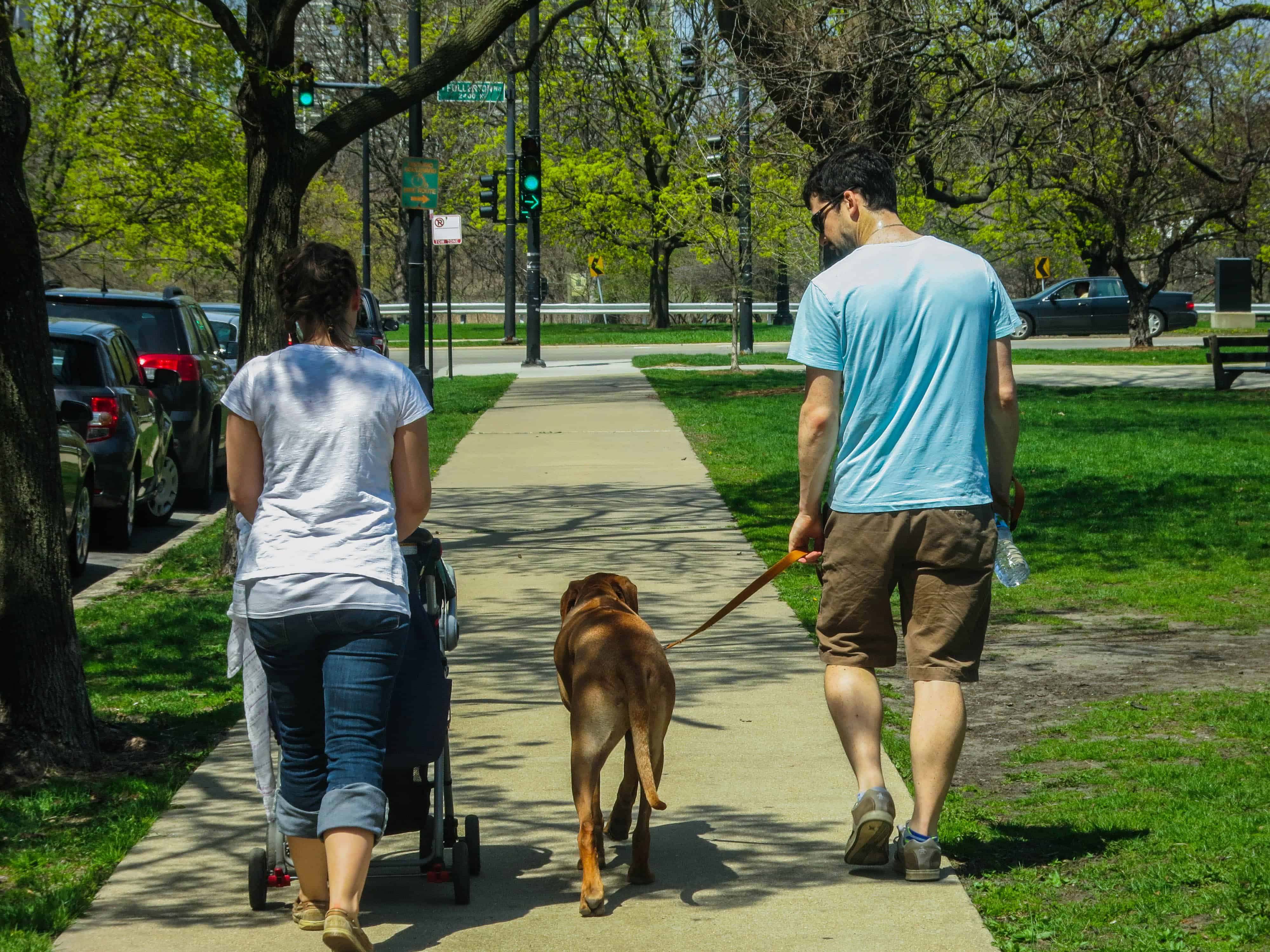 walk in the park