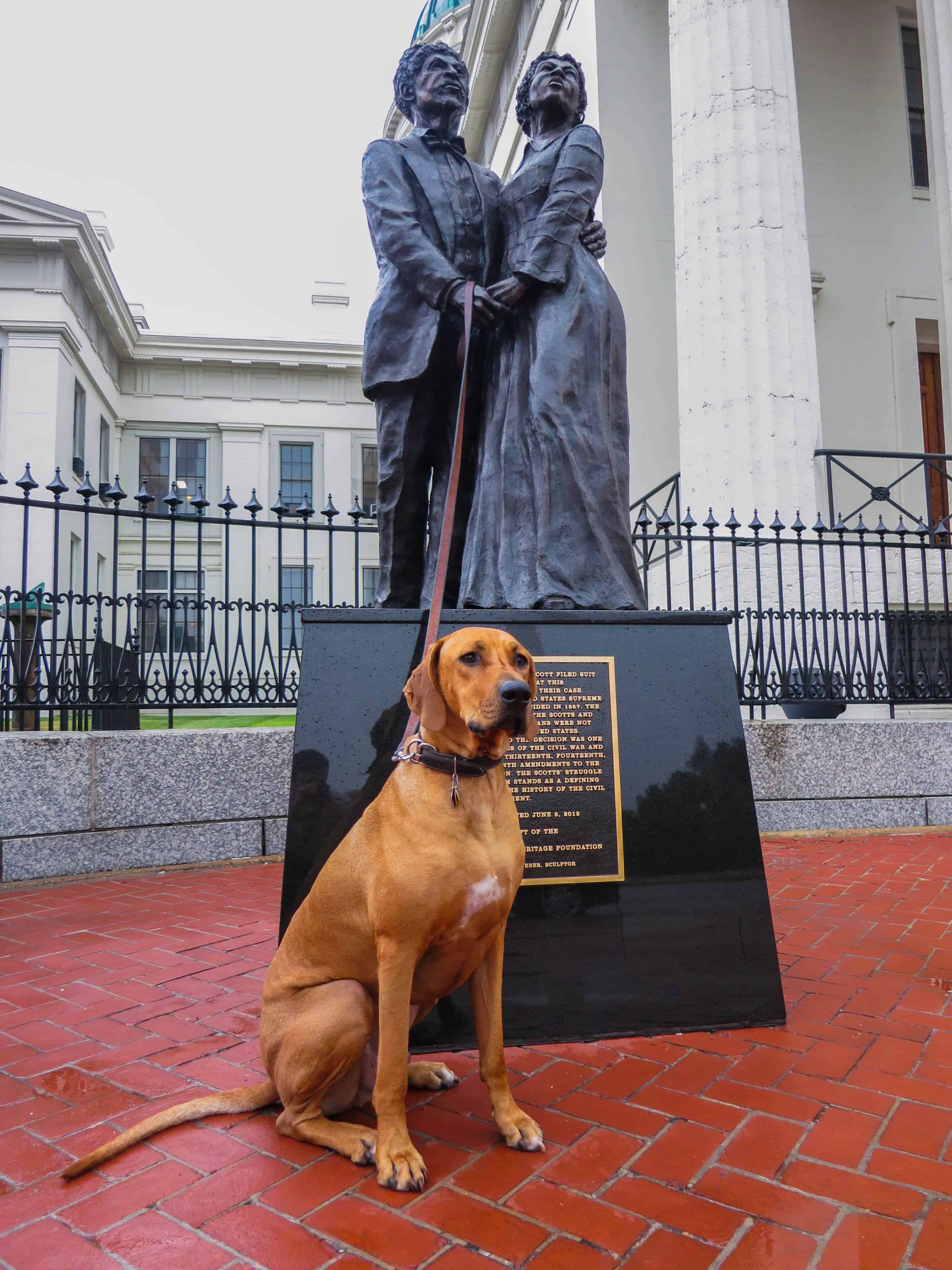 Pooches in the Park, marking our territory, petcentric, purina, st. louis cardinals, dog adventure, dog blog