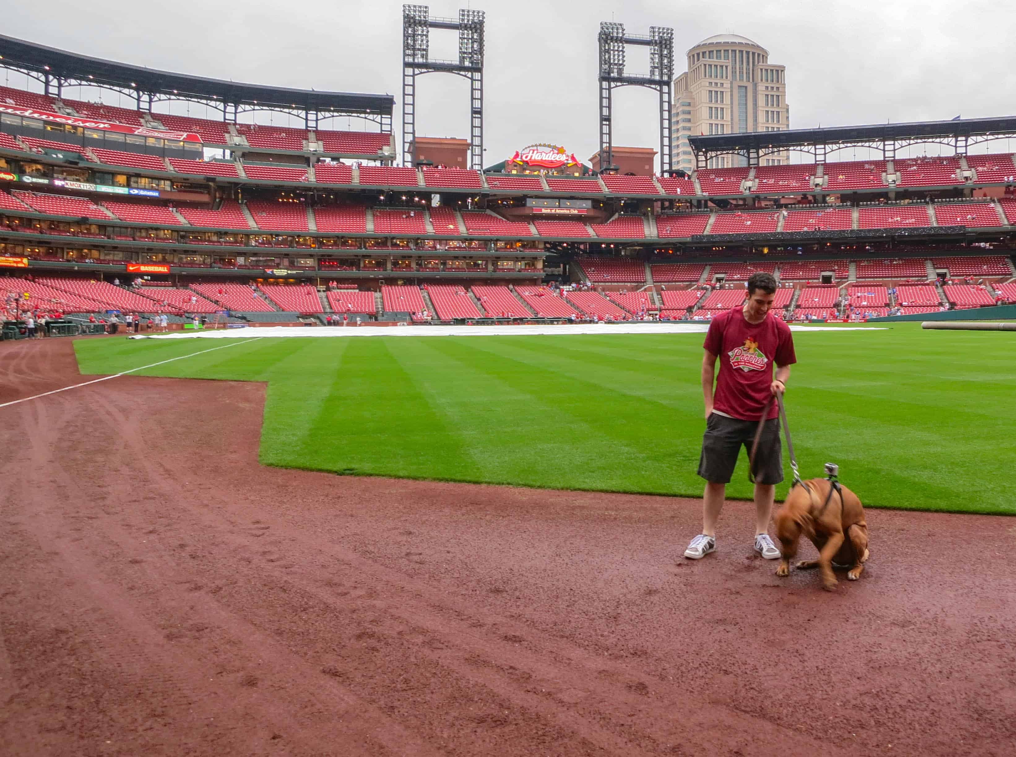 Pooches in the Park, marking our territory, petcentric, purina, st. louis cardinals, dog adventure, dog blog