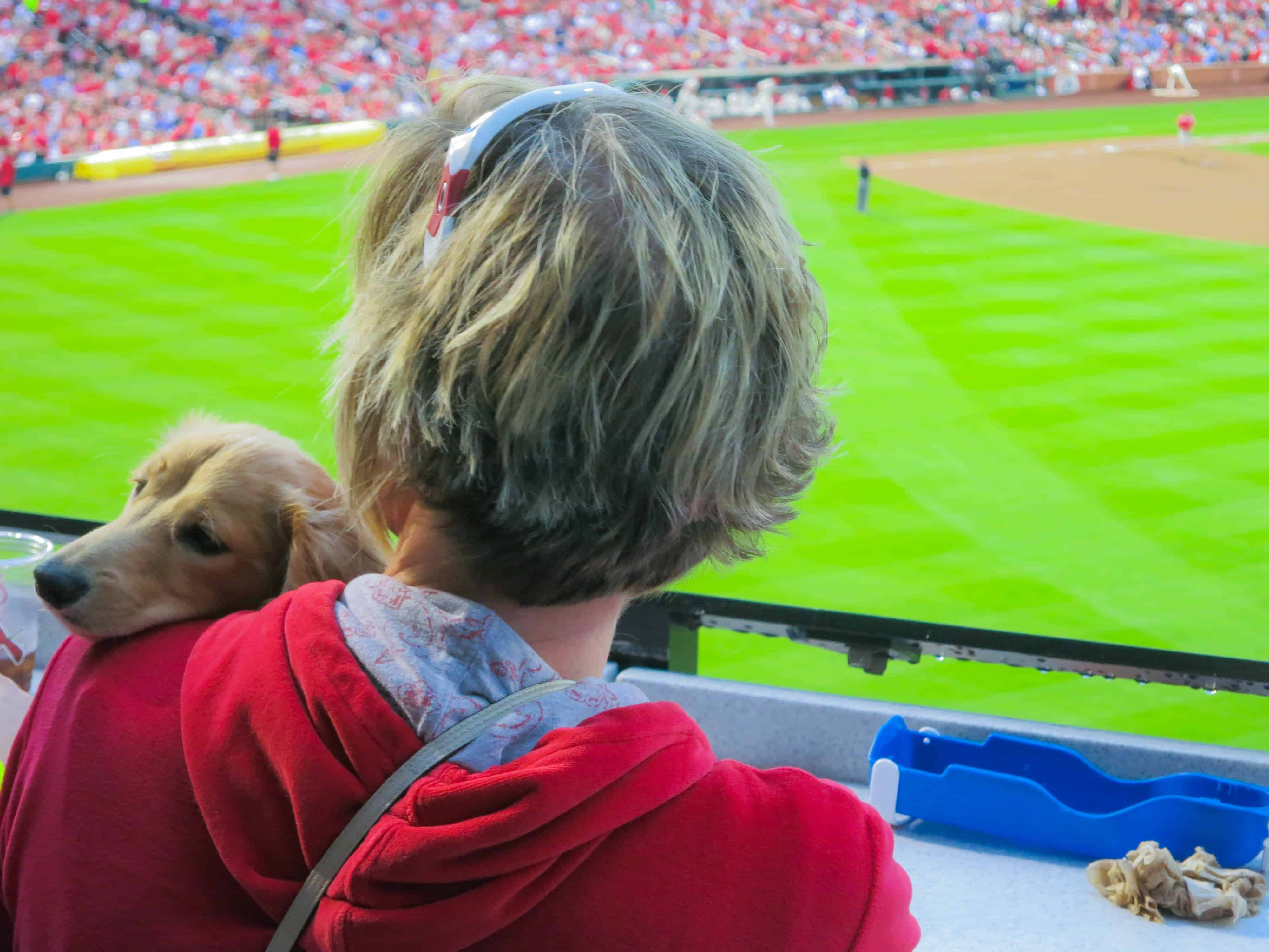 Pooches in the Park, marking our territory, petcentric, purina, st. louis cardinals, dog adventure, dog blog