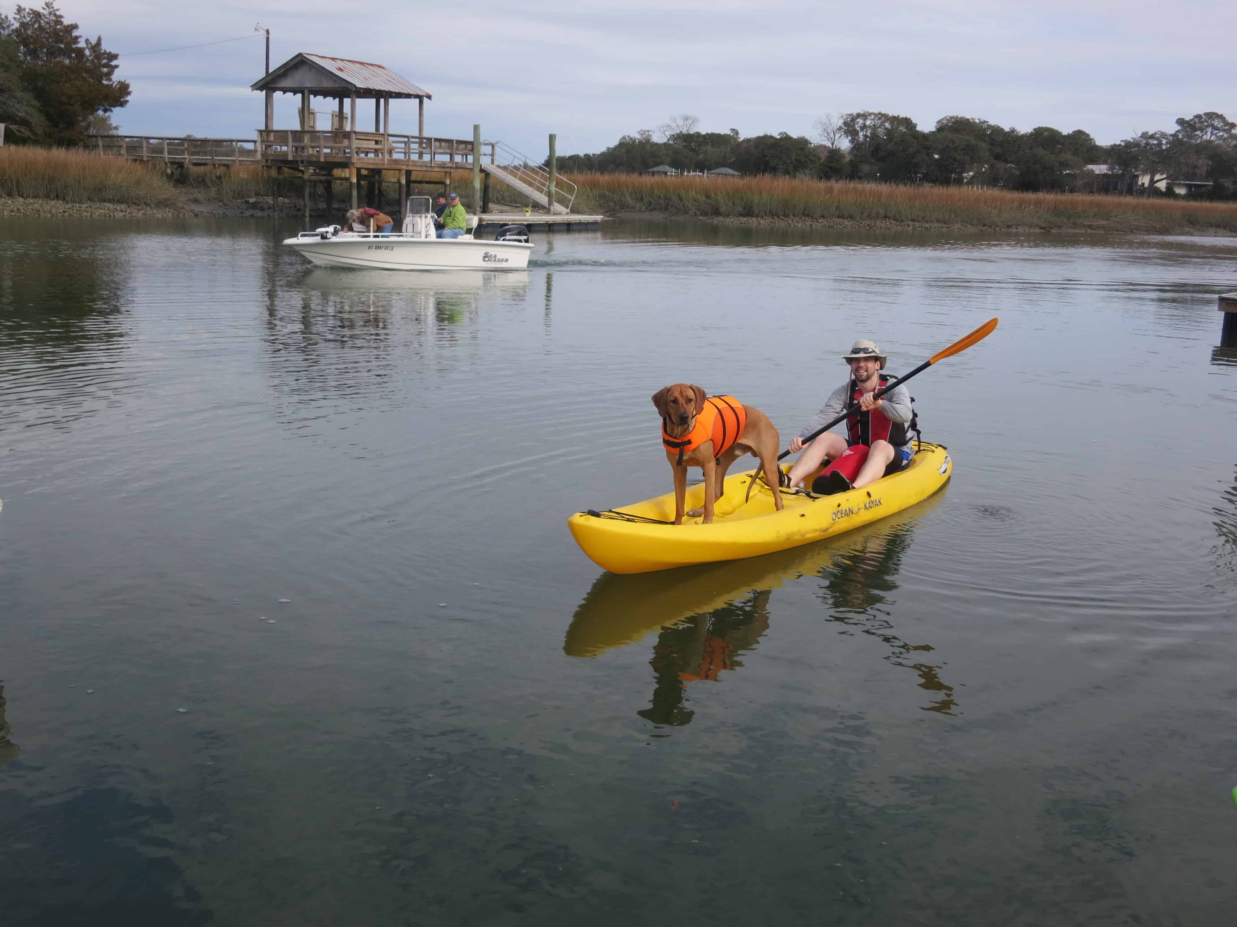 dog friendly charleston south carolina