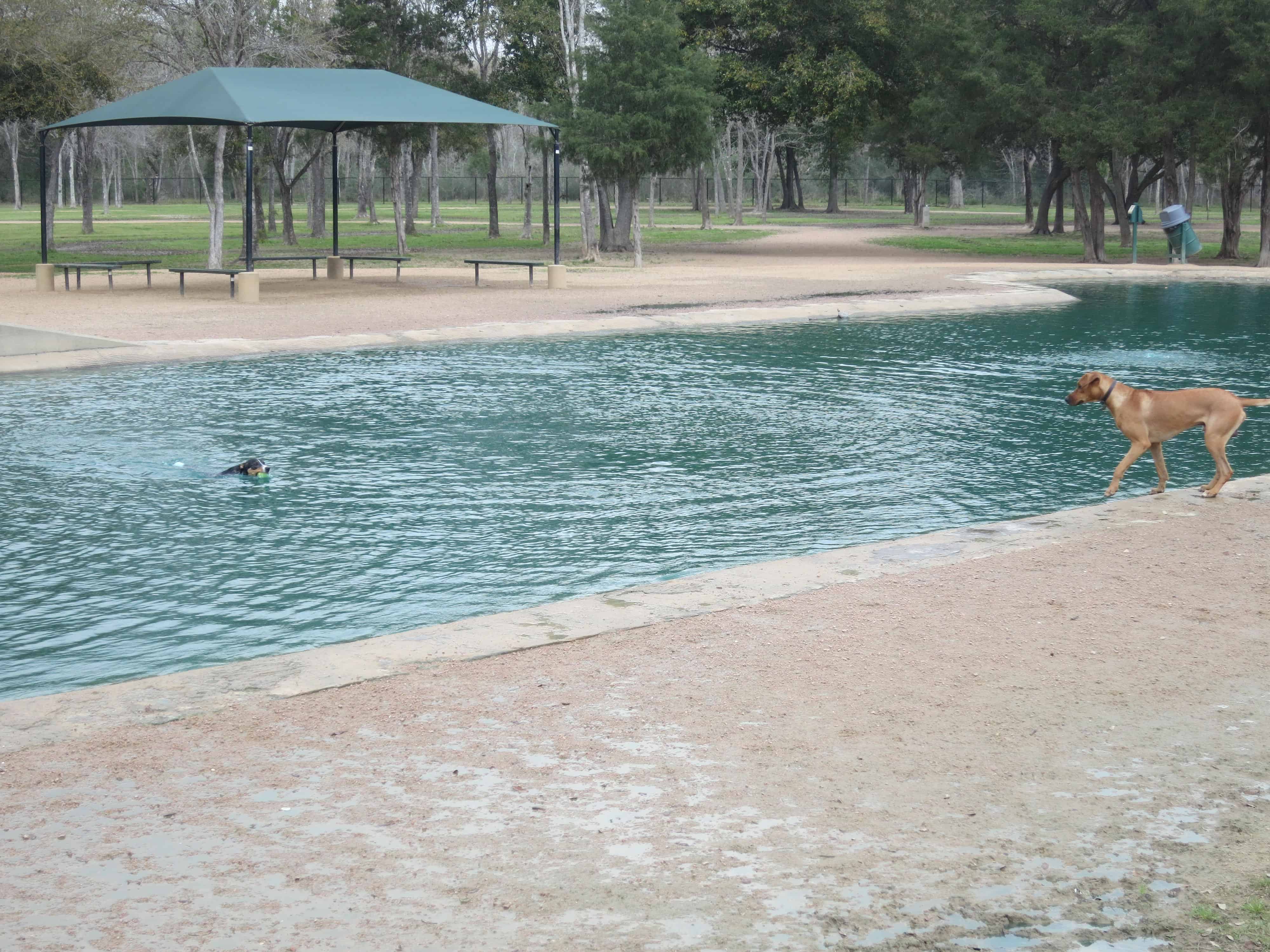 dog park houston