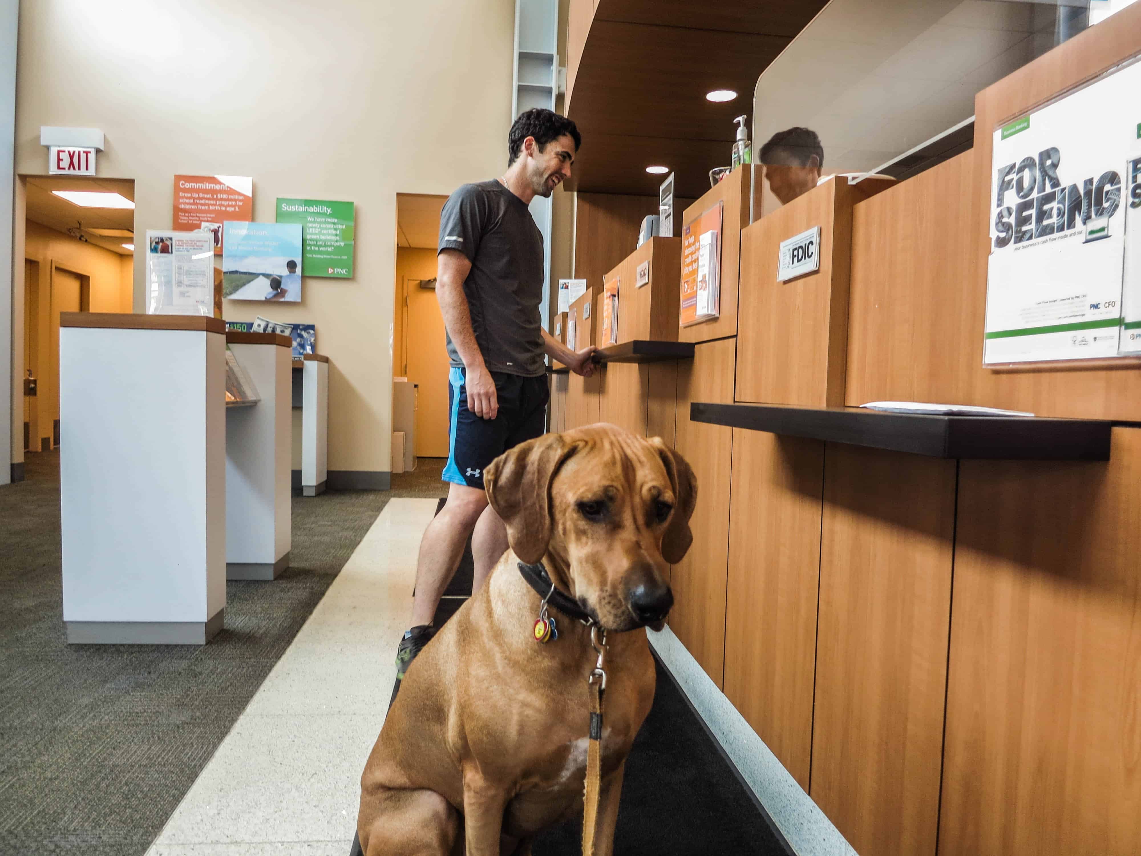 Rhodesian Ridgeback, adventure, dogs, marking our territory, petcentric