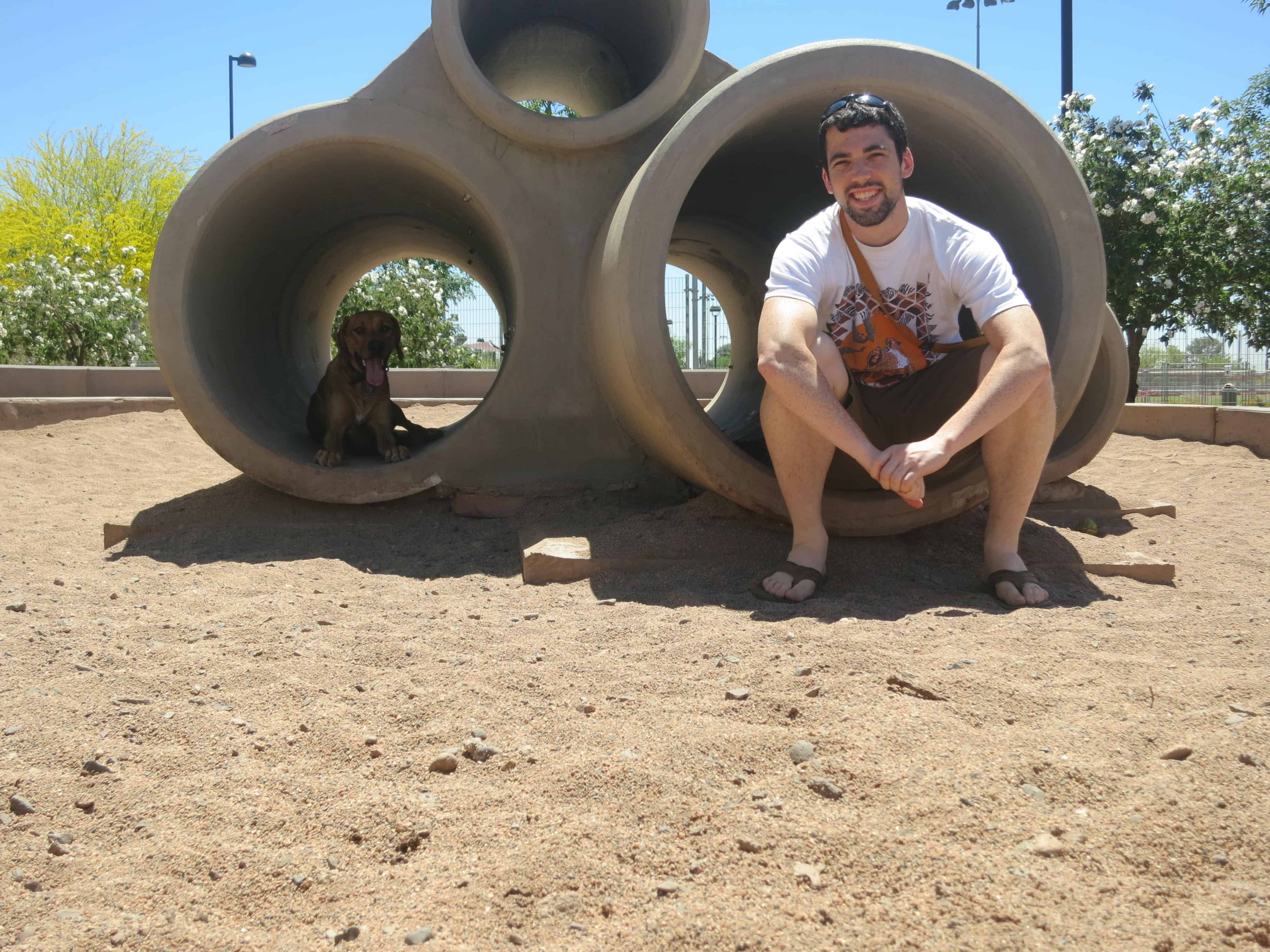 dog friendly phoenix