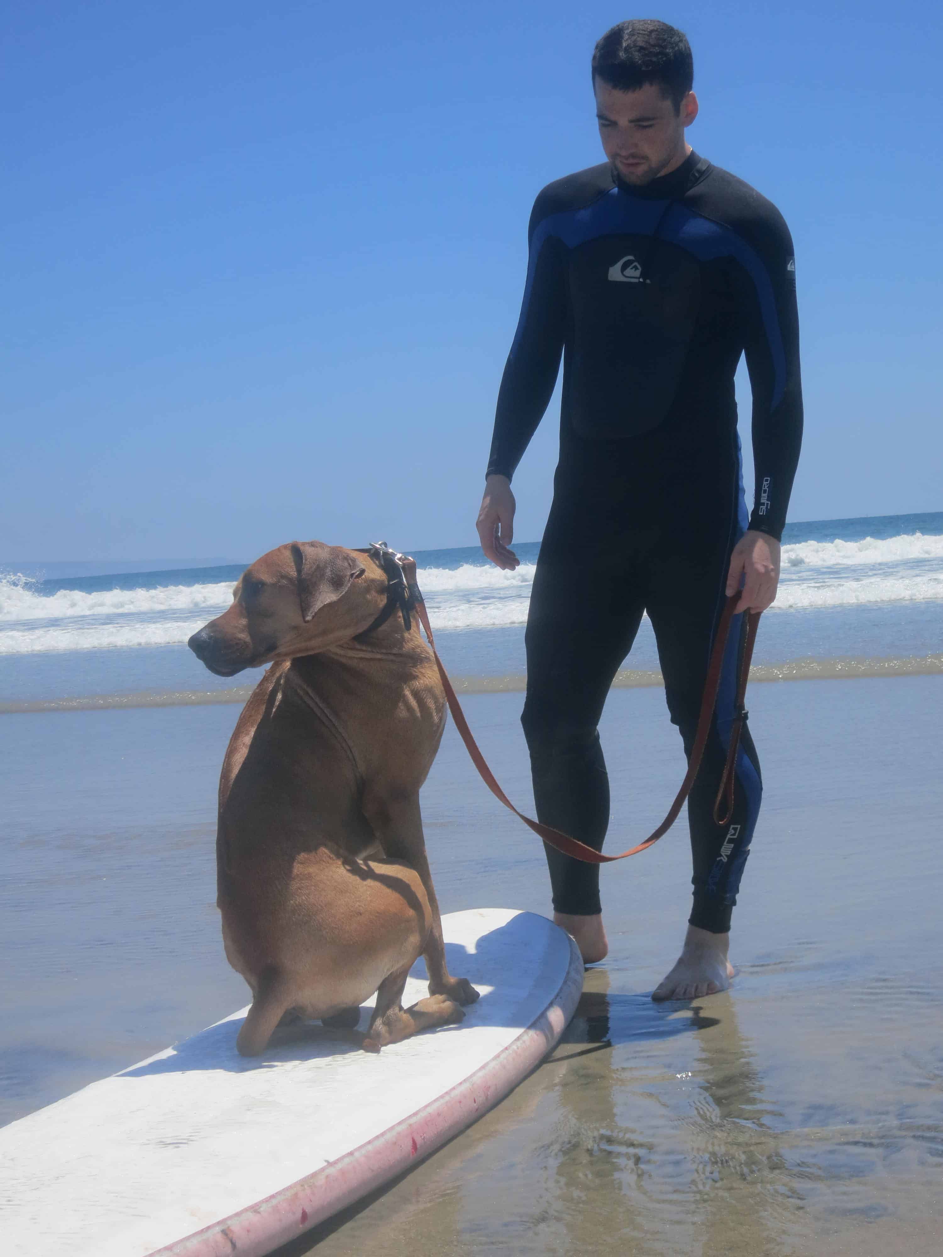 dog friendly san diego