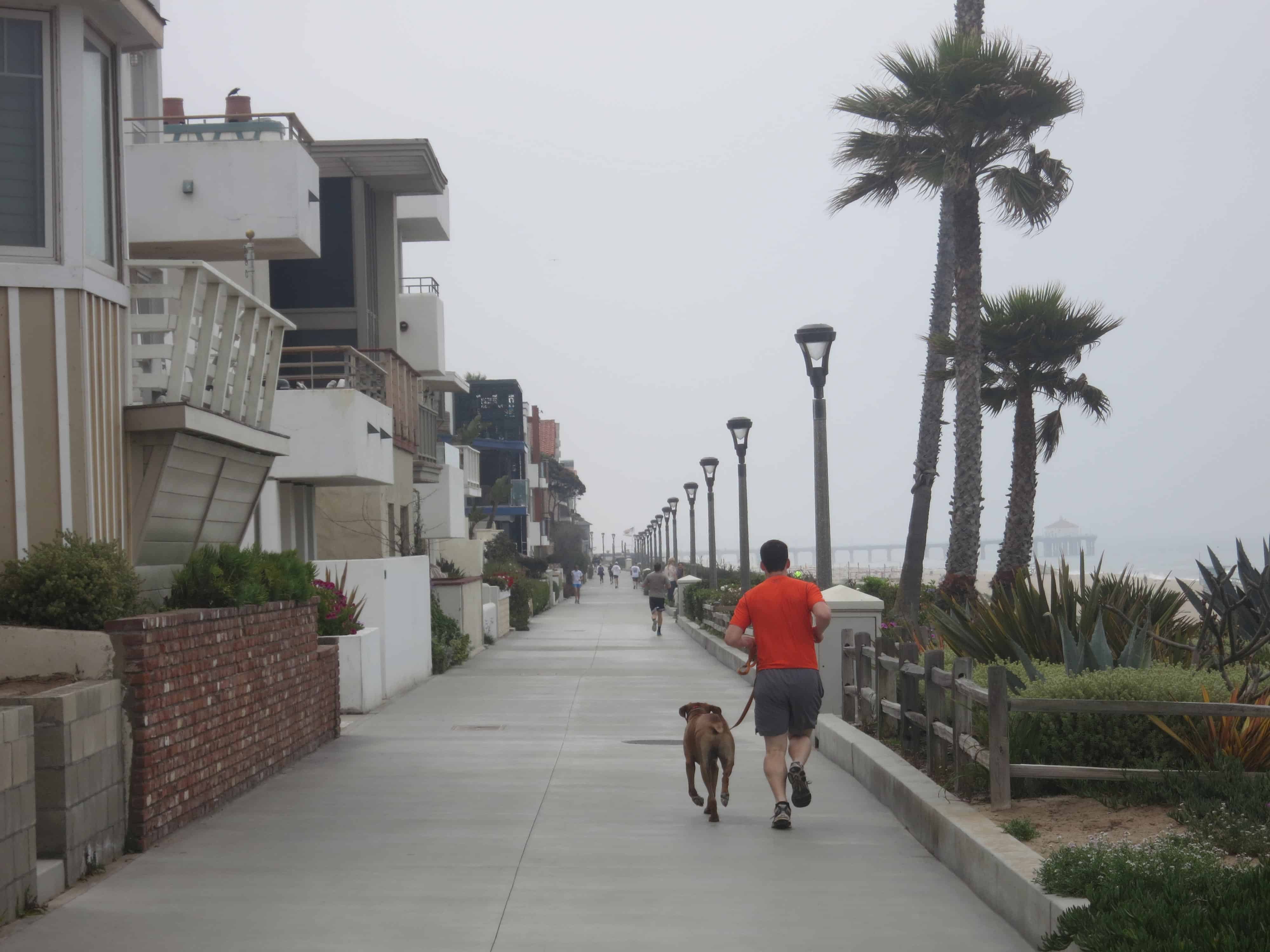 Dog Friendly Los Angeles: Manhattan Beach Strand - Marking Our Territory