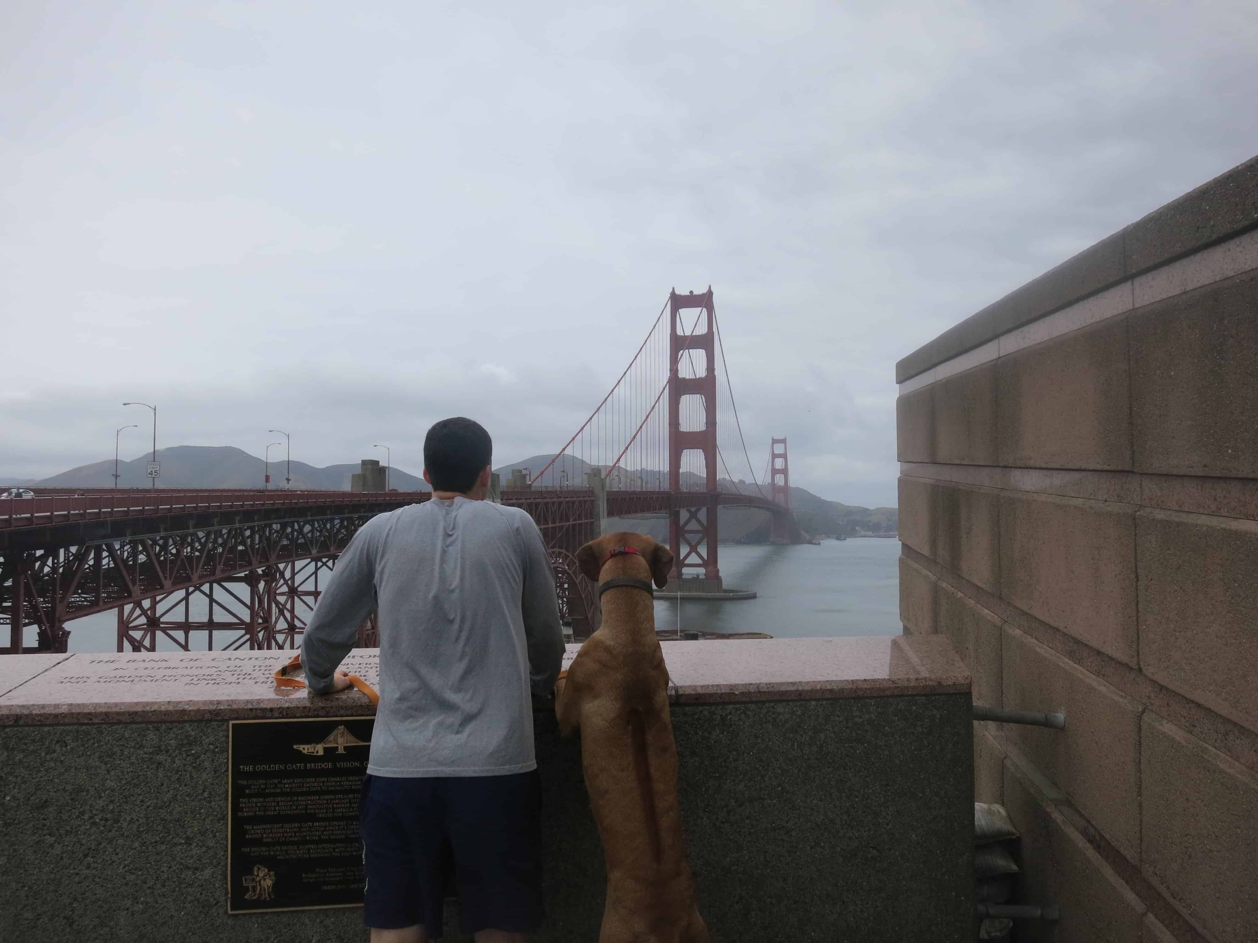 dog friendly san francisco