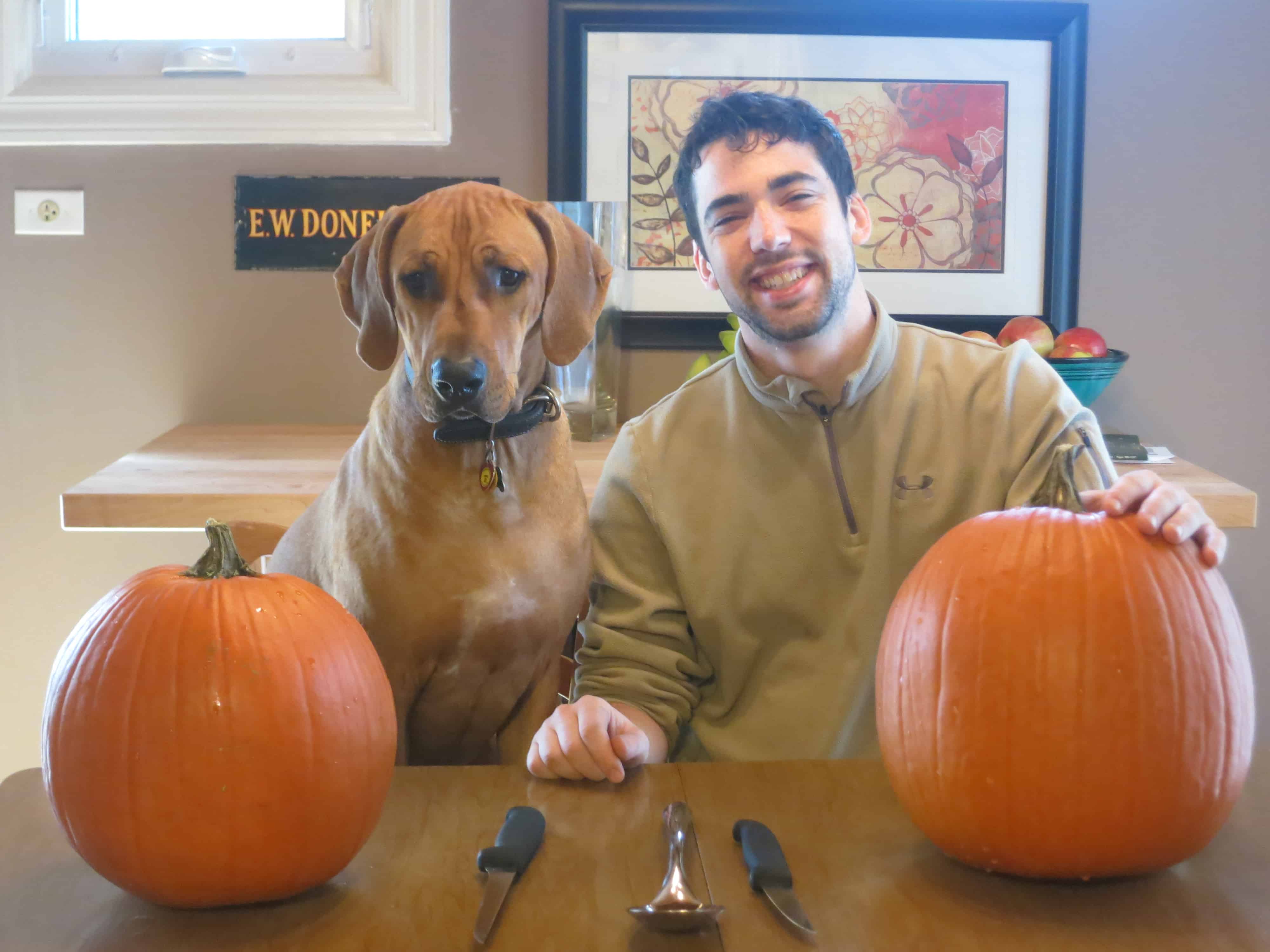 rhodesian ridgeback, pet friendly blog