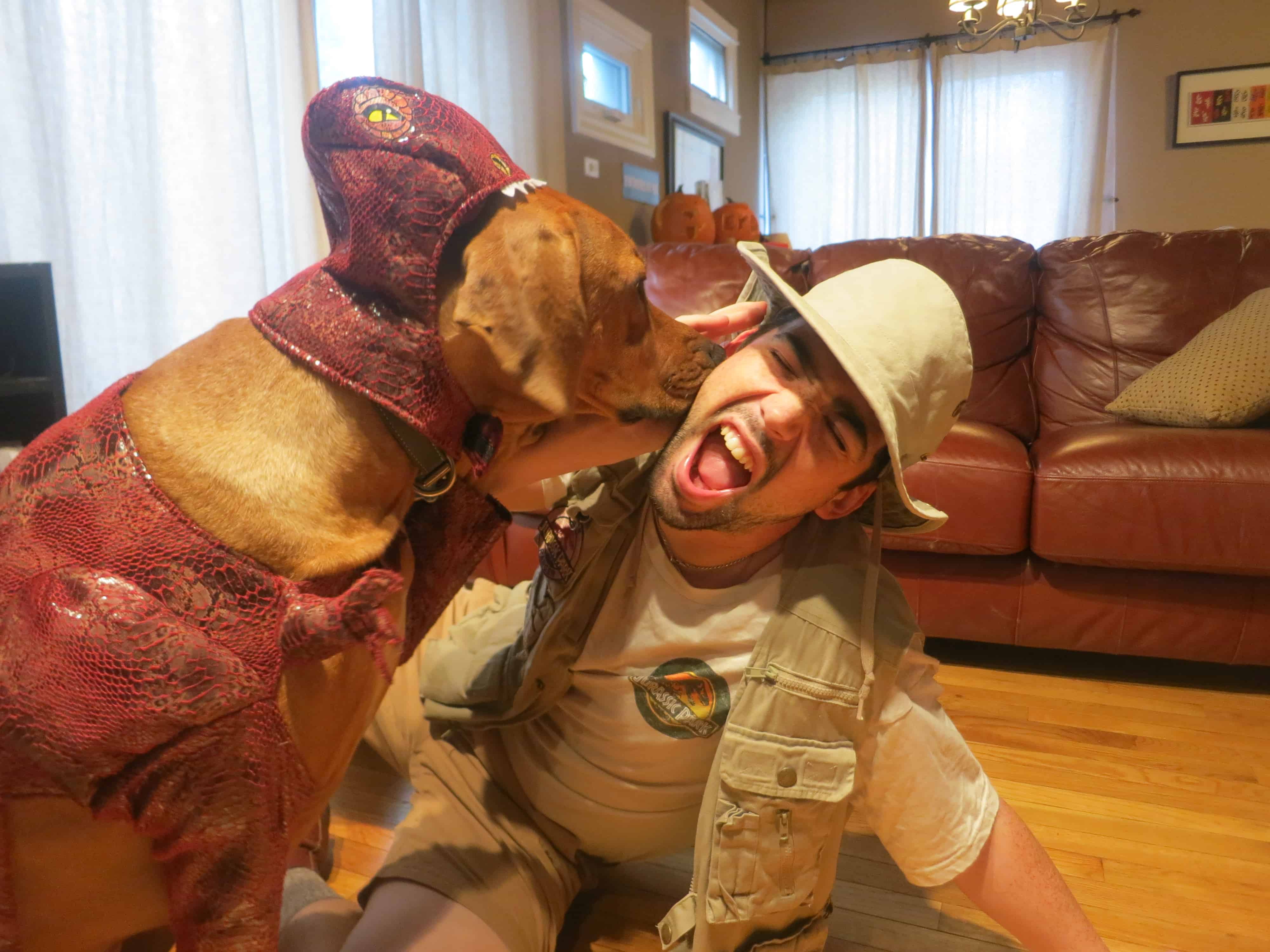 rhodesian ridgeback, dog adventure