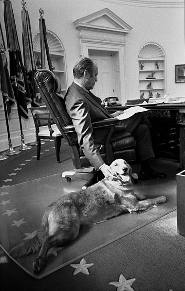 President_Ford_and_his_golden_retriever_Liberty_-_NARA_-_6829597
