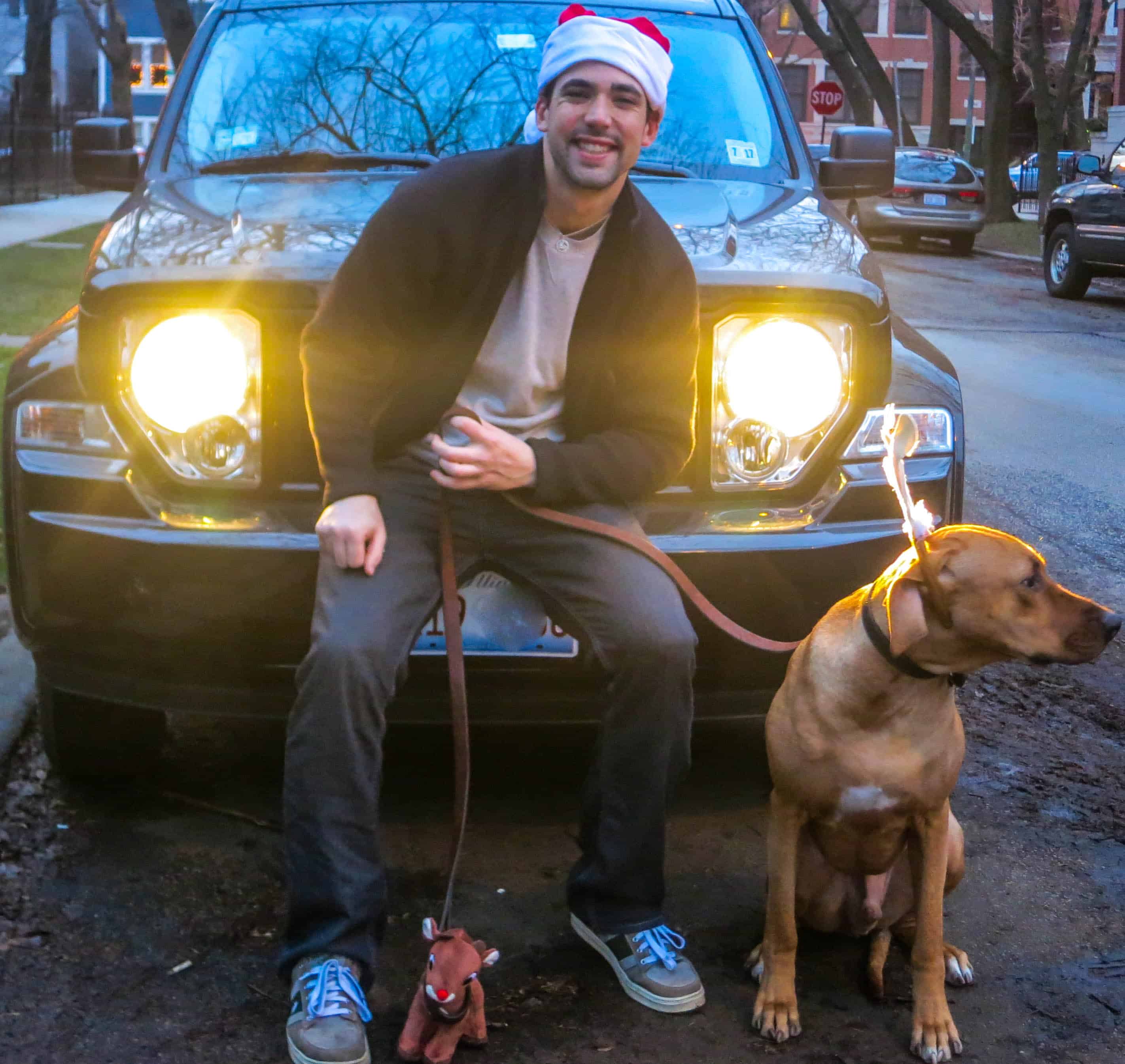 Rhodesian Ridgeback, pet adventure