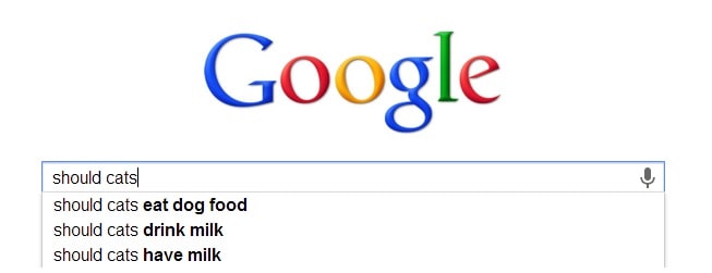 funny, google, dogs, cats, pets