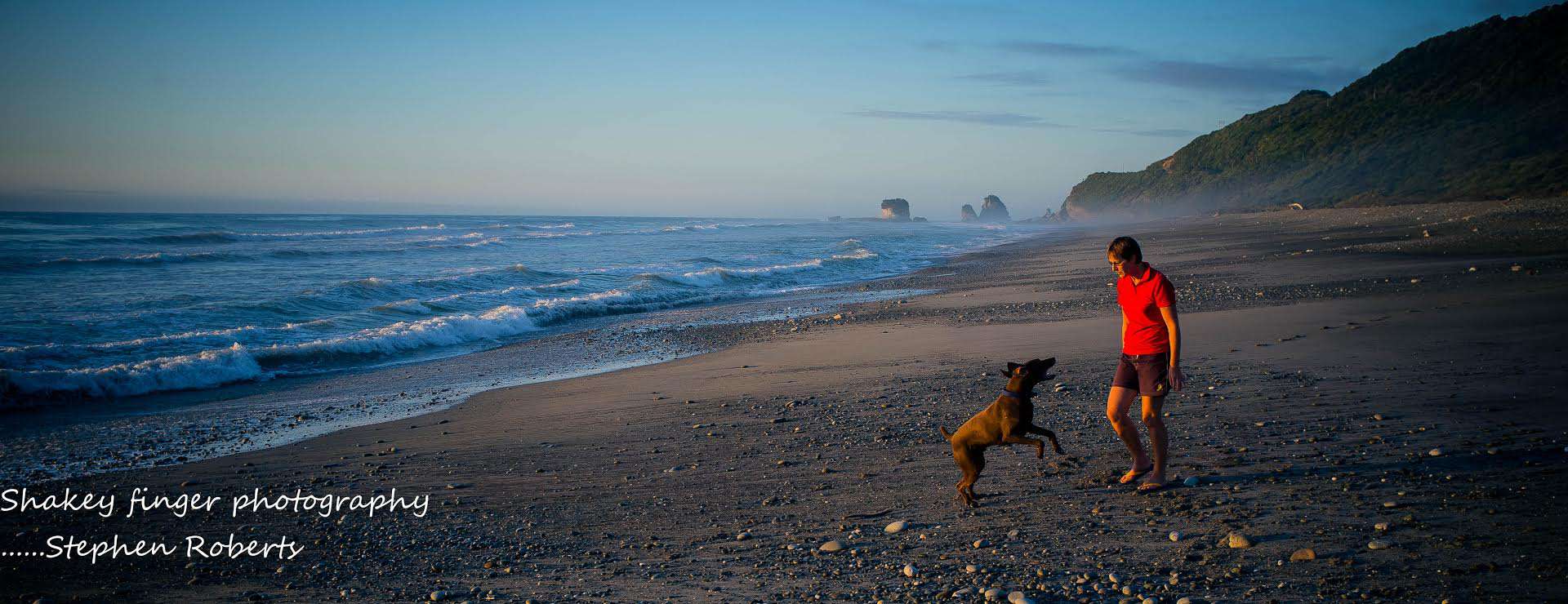 How Loving A Dog Can Change The World Marking Our Territory