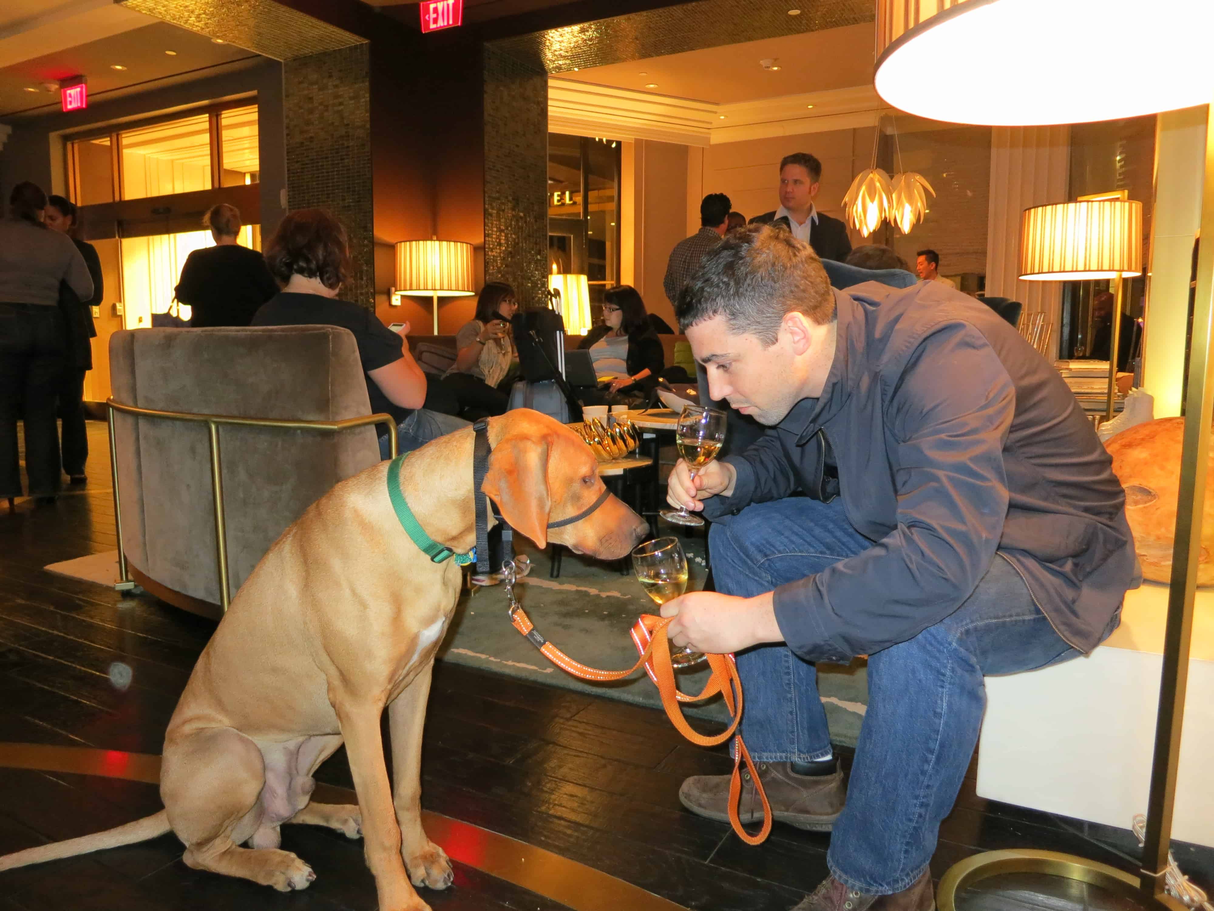 Pet friendly wine tasting