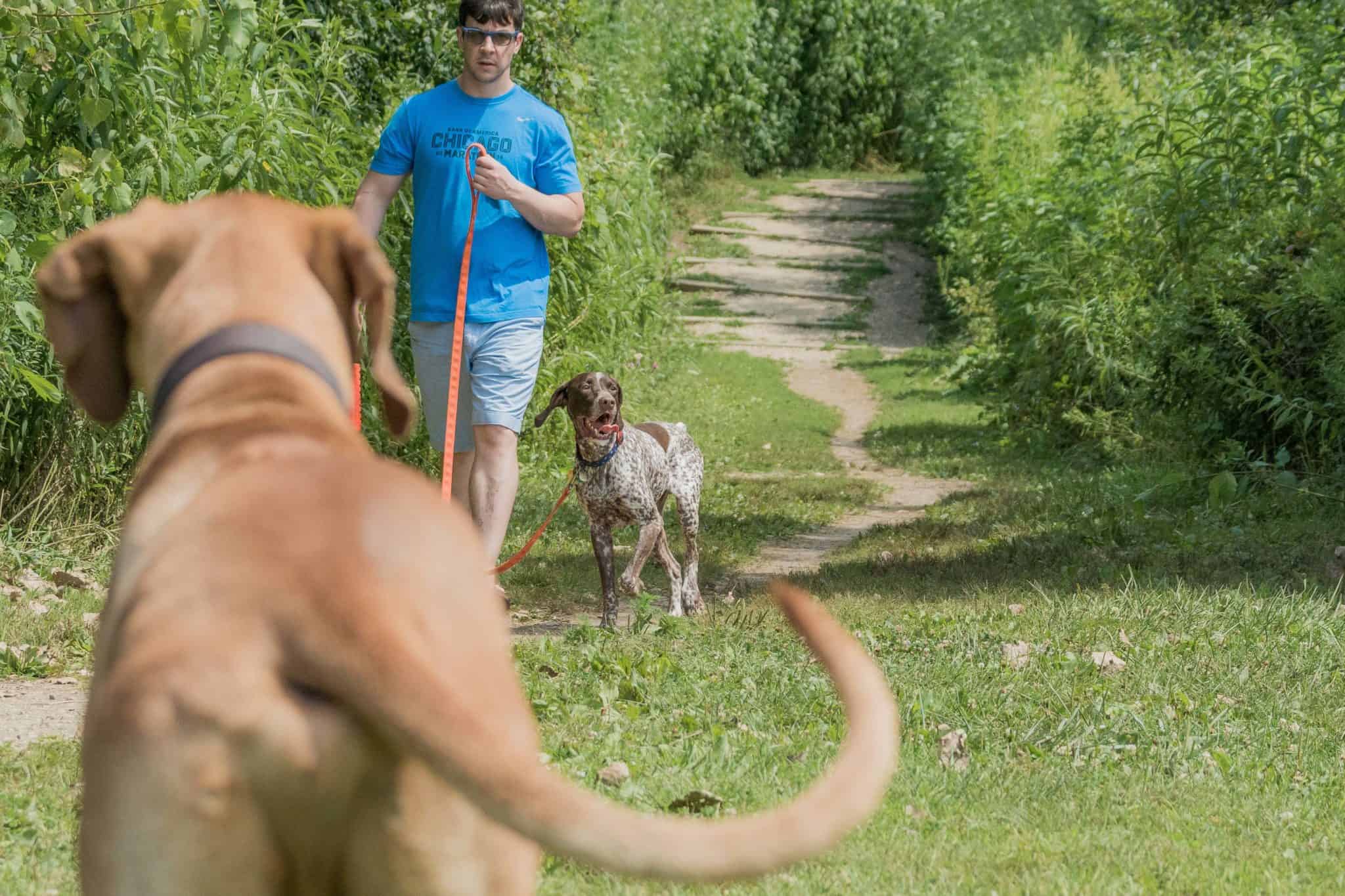 The dog who believed in my brother Marking Our Territory